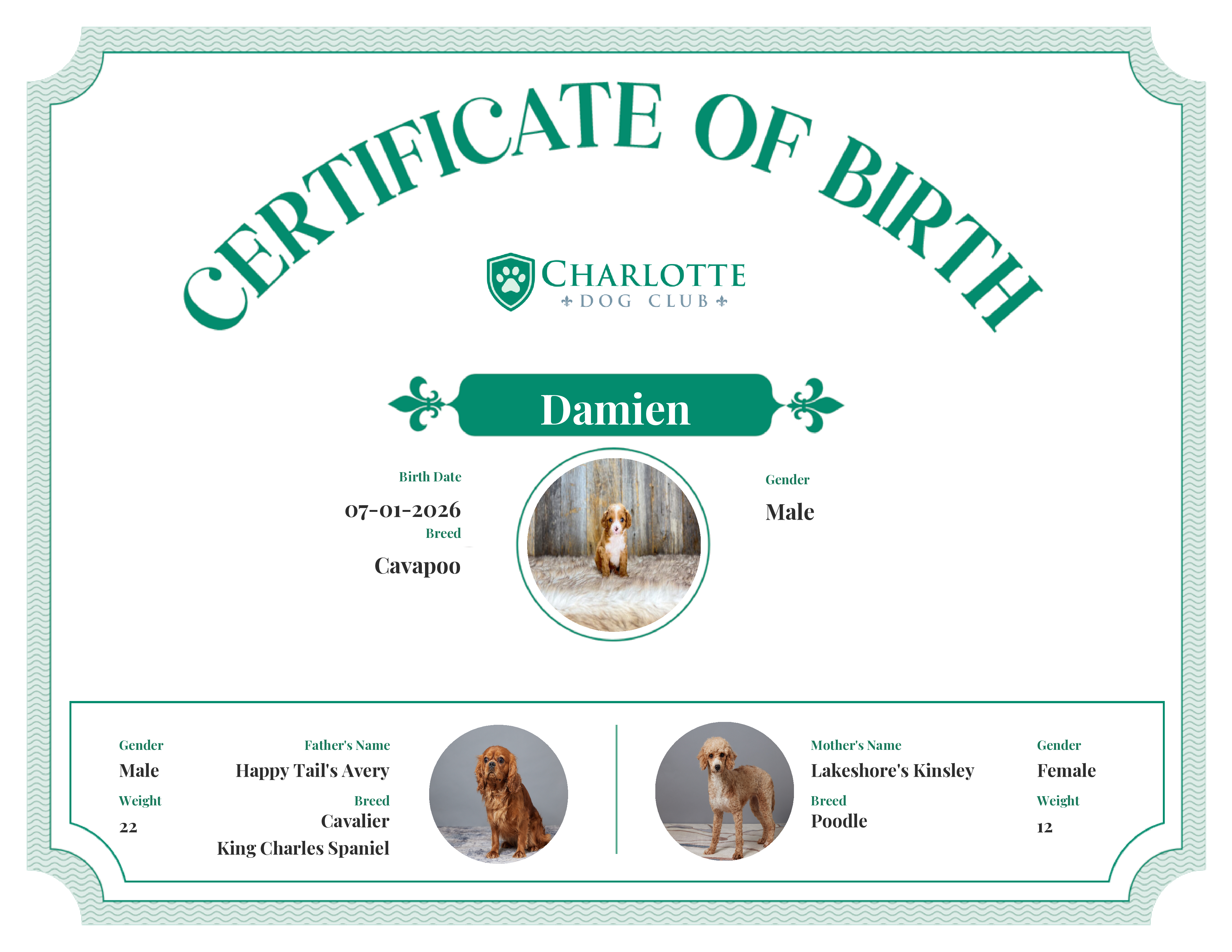 Damien's Birth Certificate