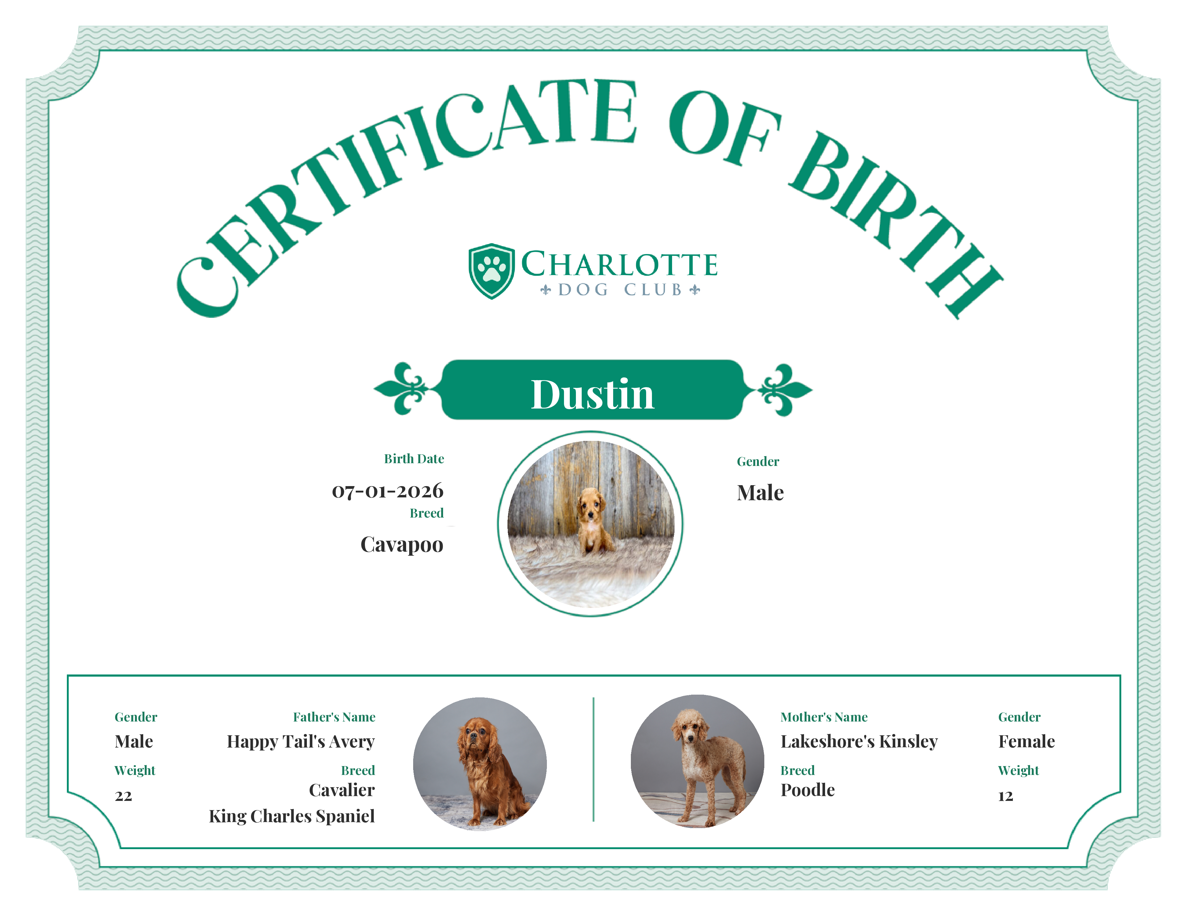 Dustin's Birth Certificate