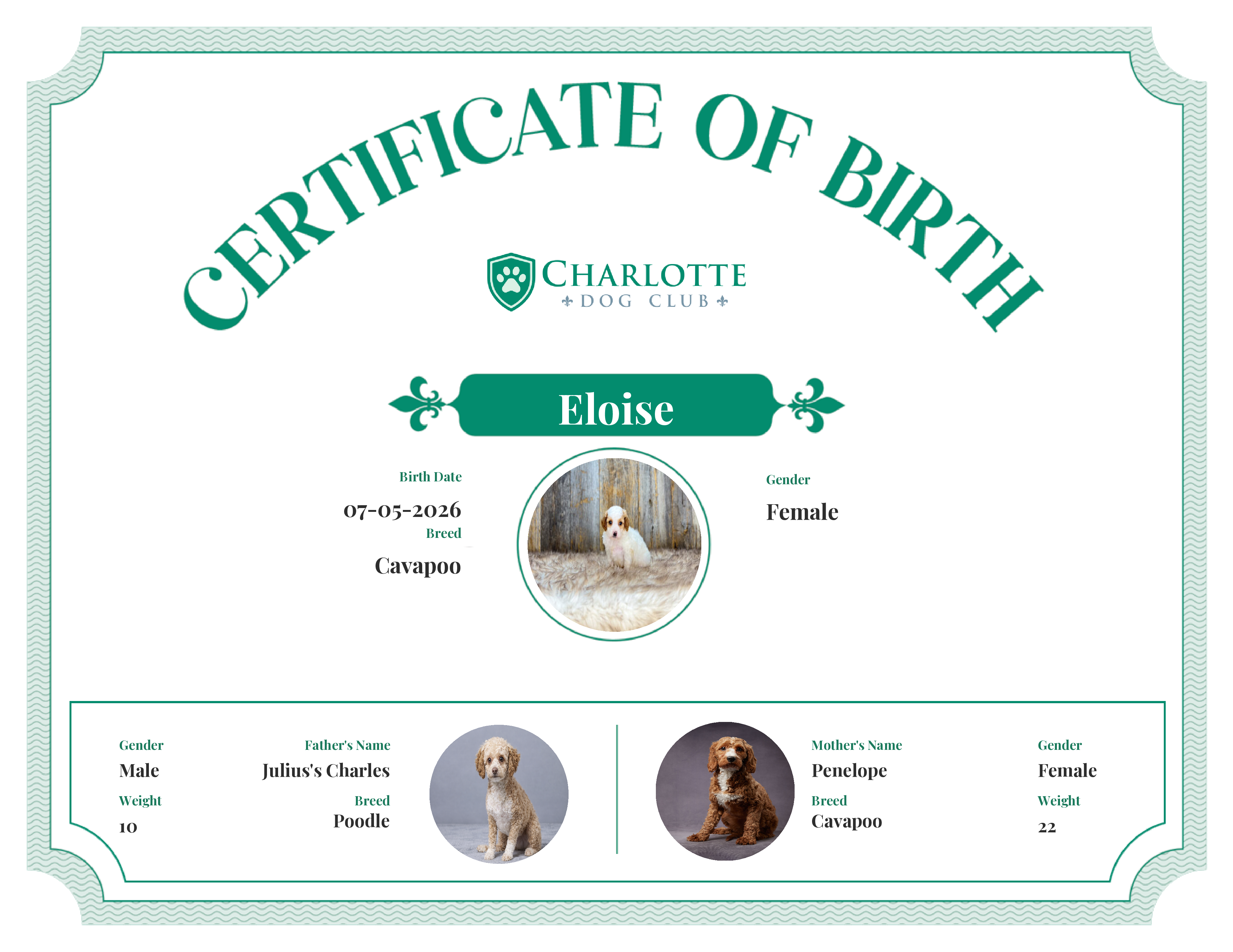 Eloise's Birth Certificate
