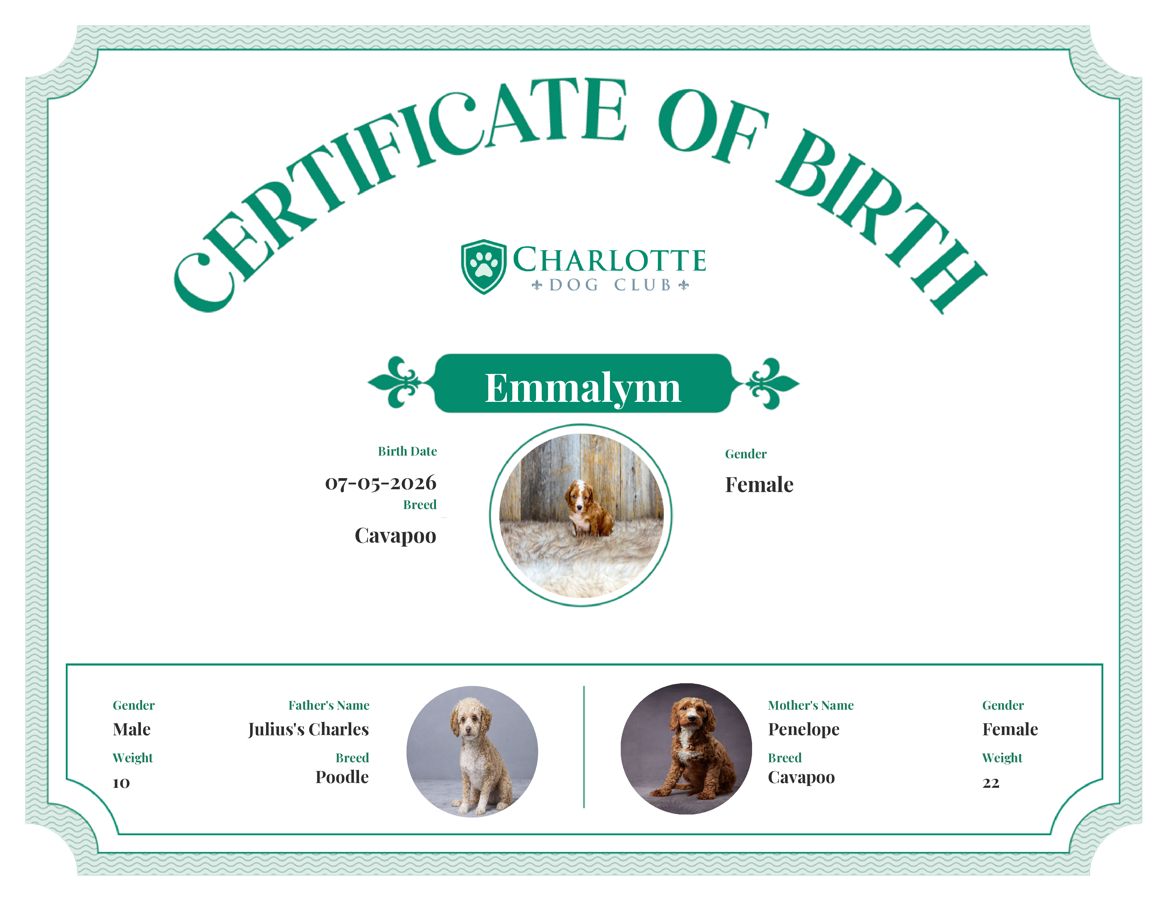 Emmalynn's Birth Certificate