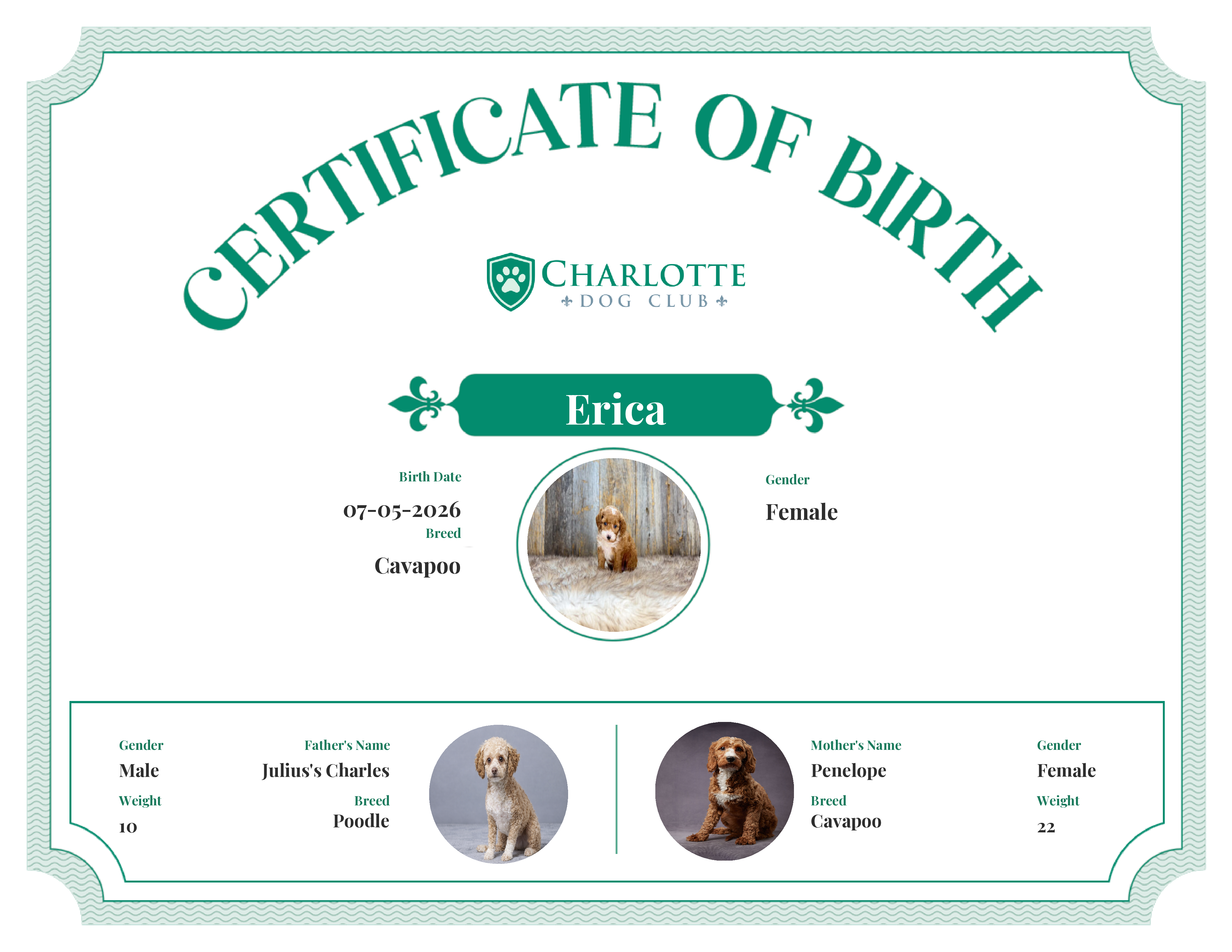 Erica's Birth Certificate