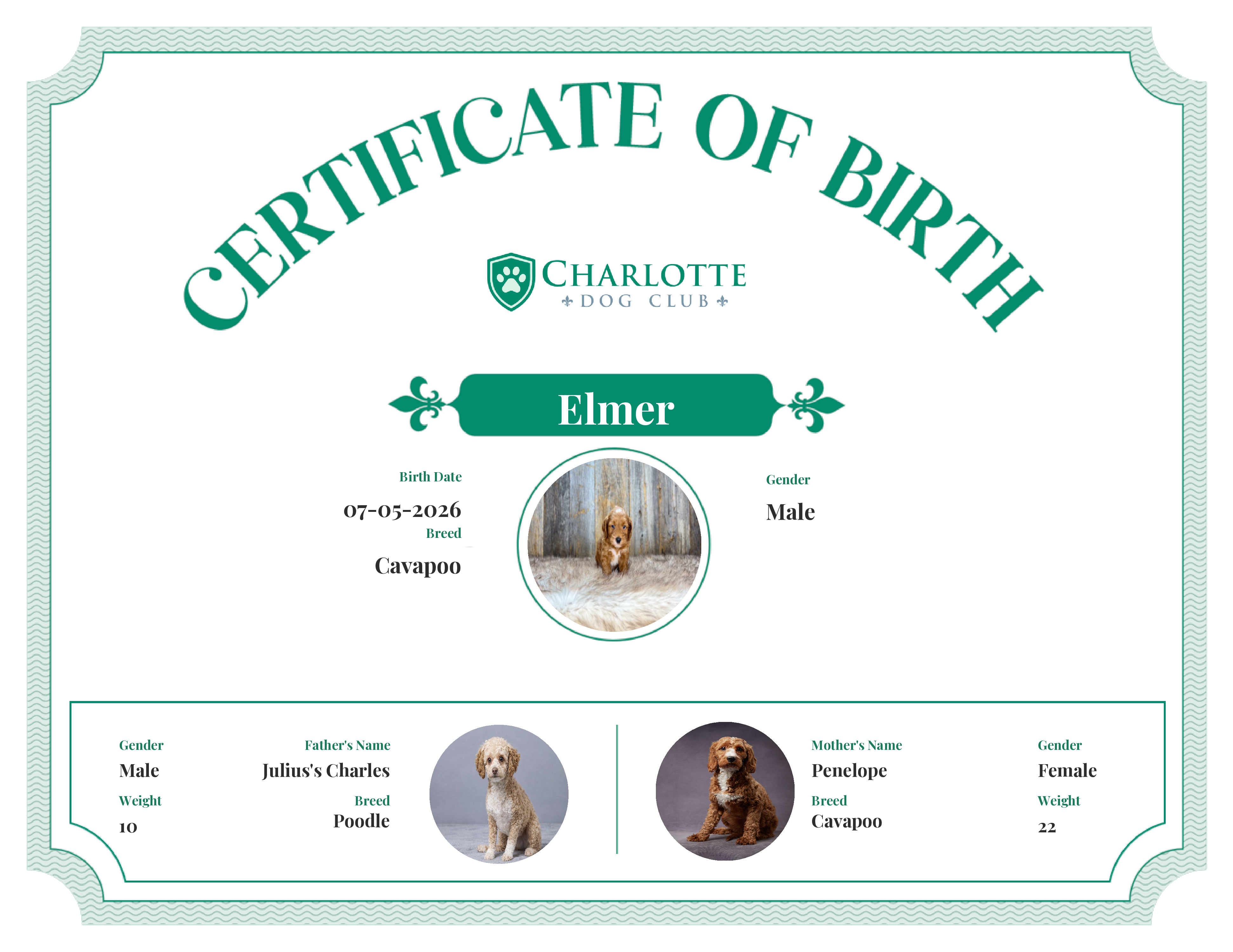 Elmer's Birth Certificate