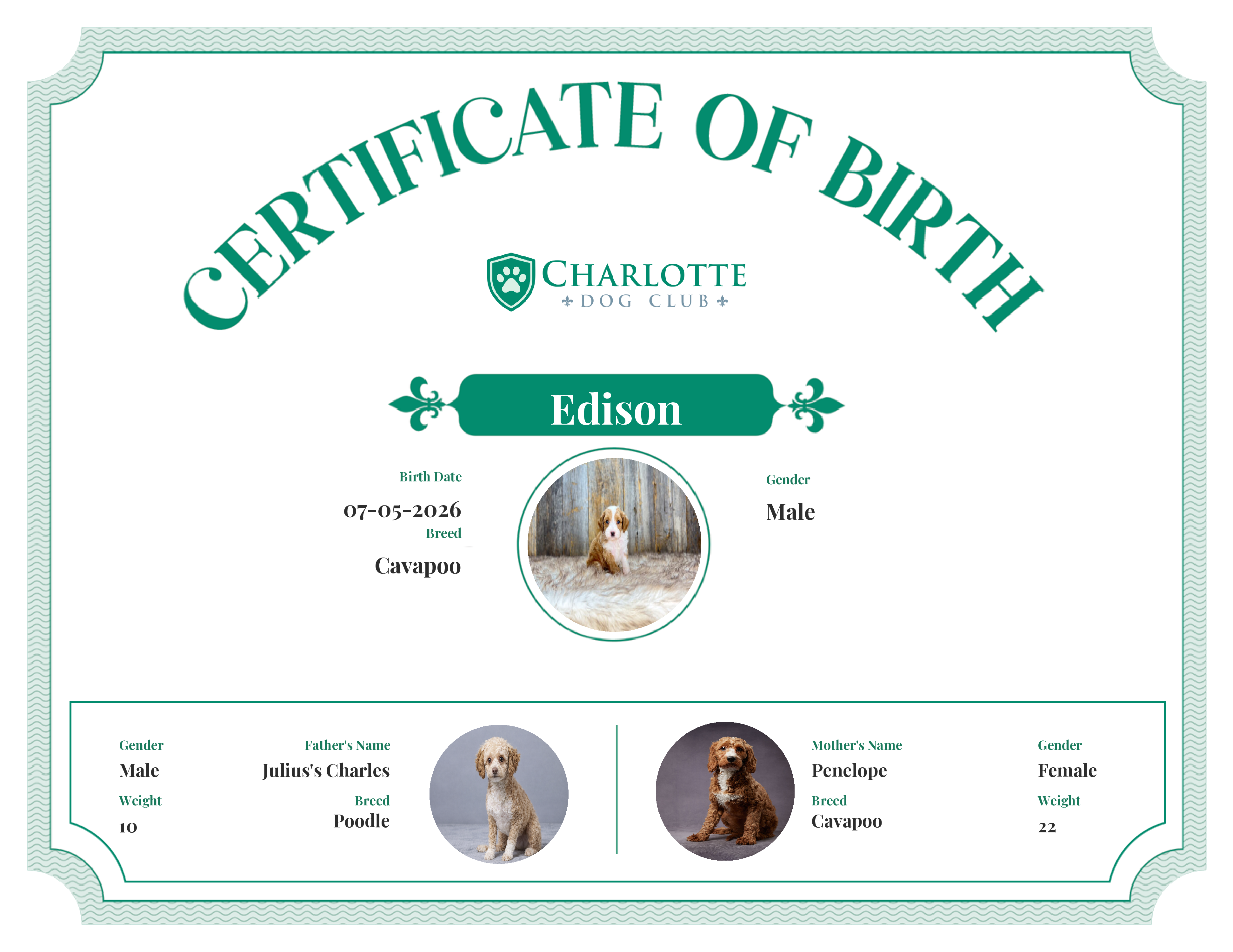 Edison's Birth Certificate
