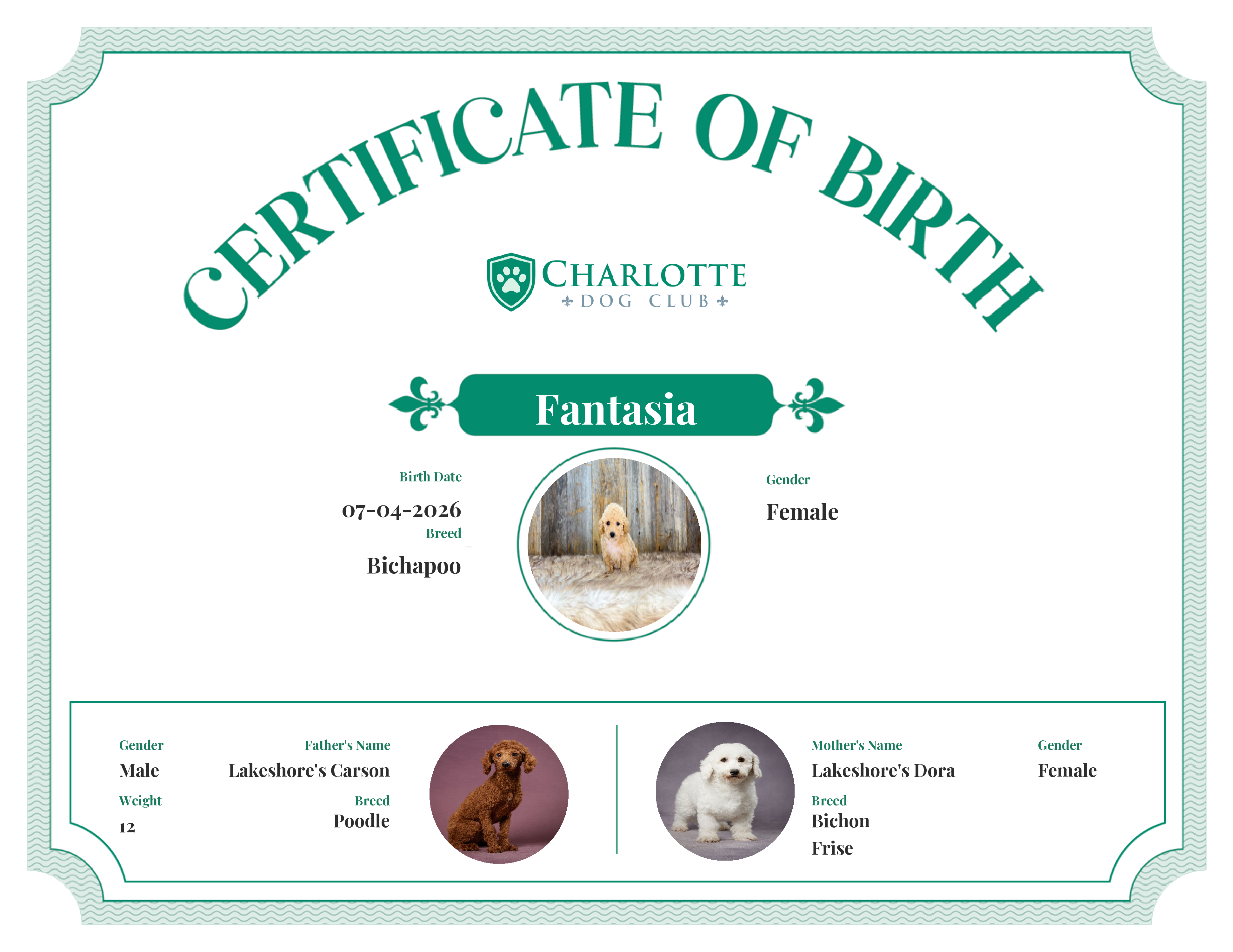 Fantasia's Birth Certificate