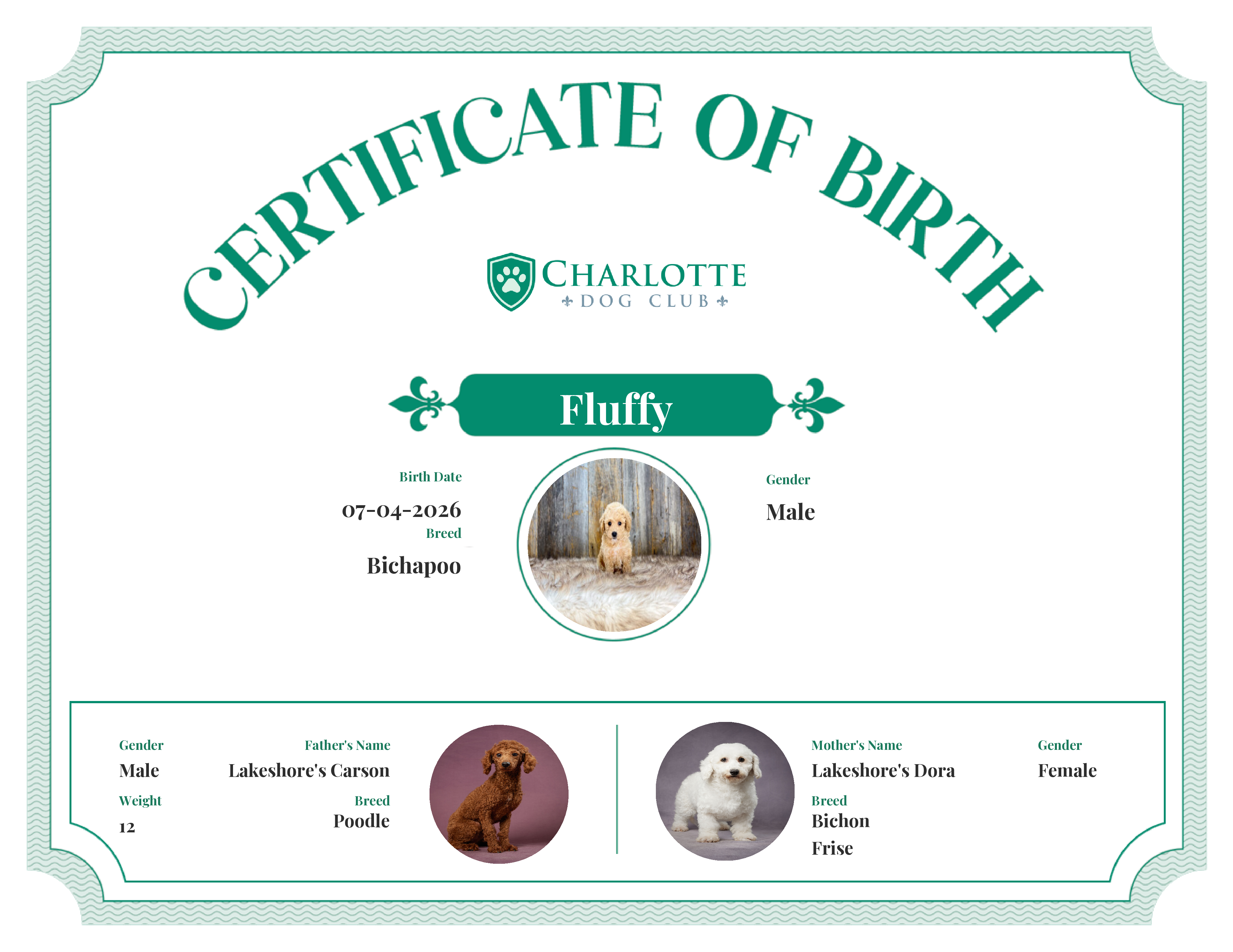 Fluffy's Birth Certificate