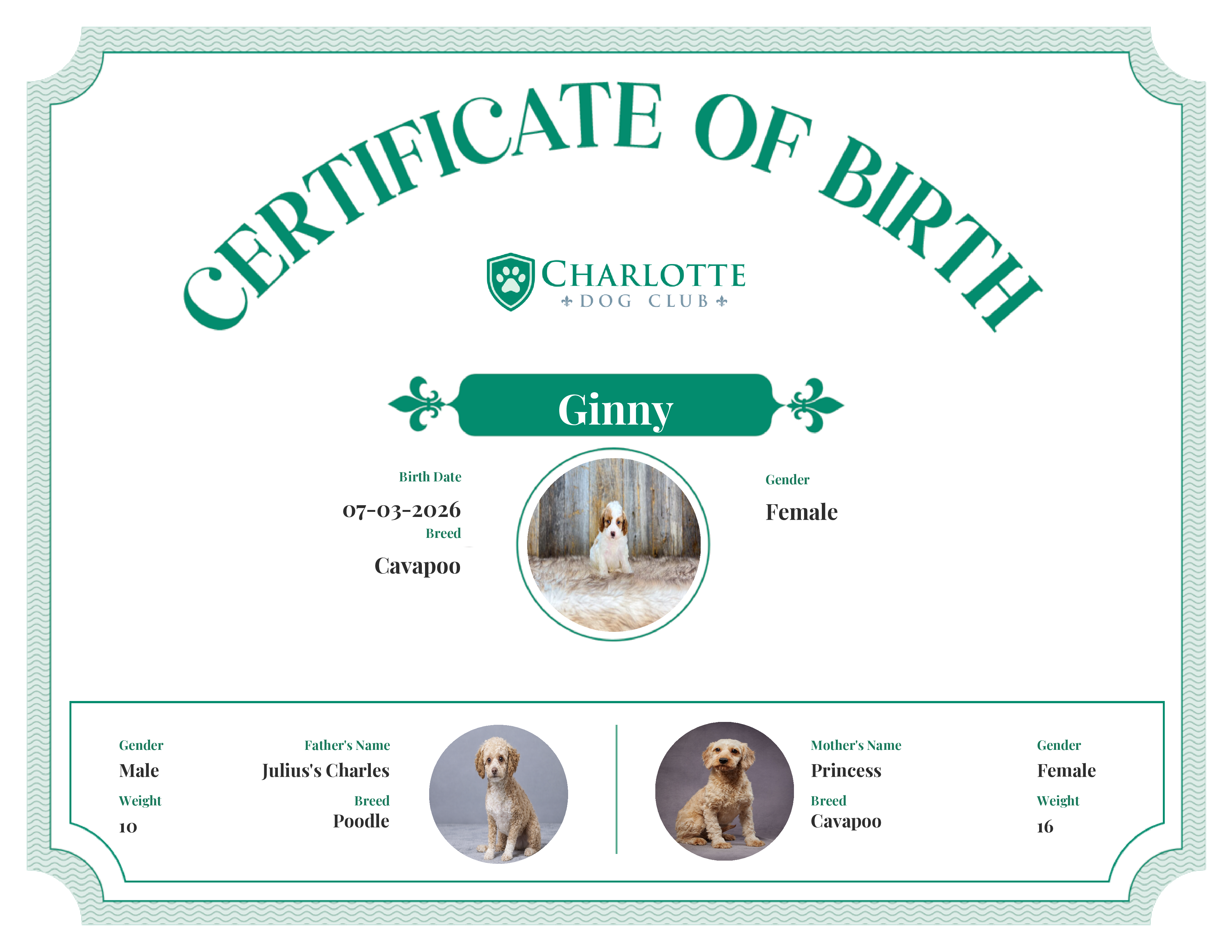 Ginny's Birth Certificate