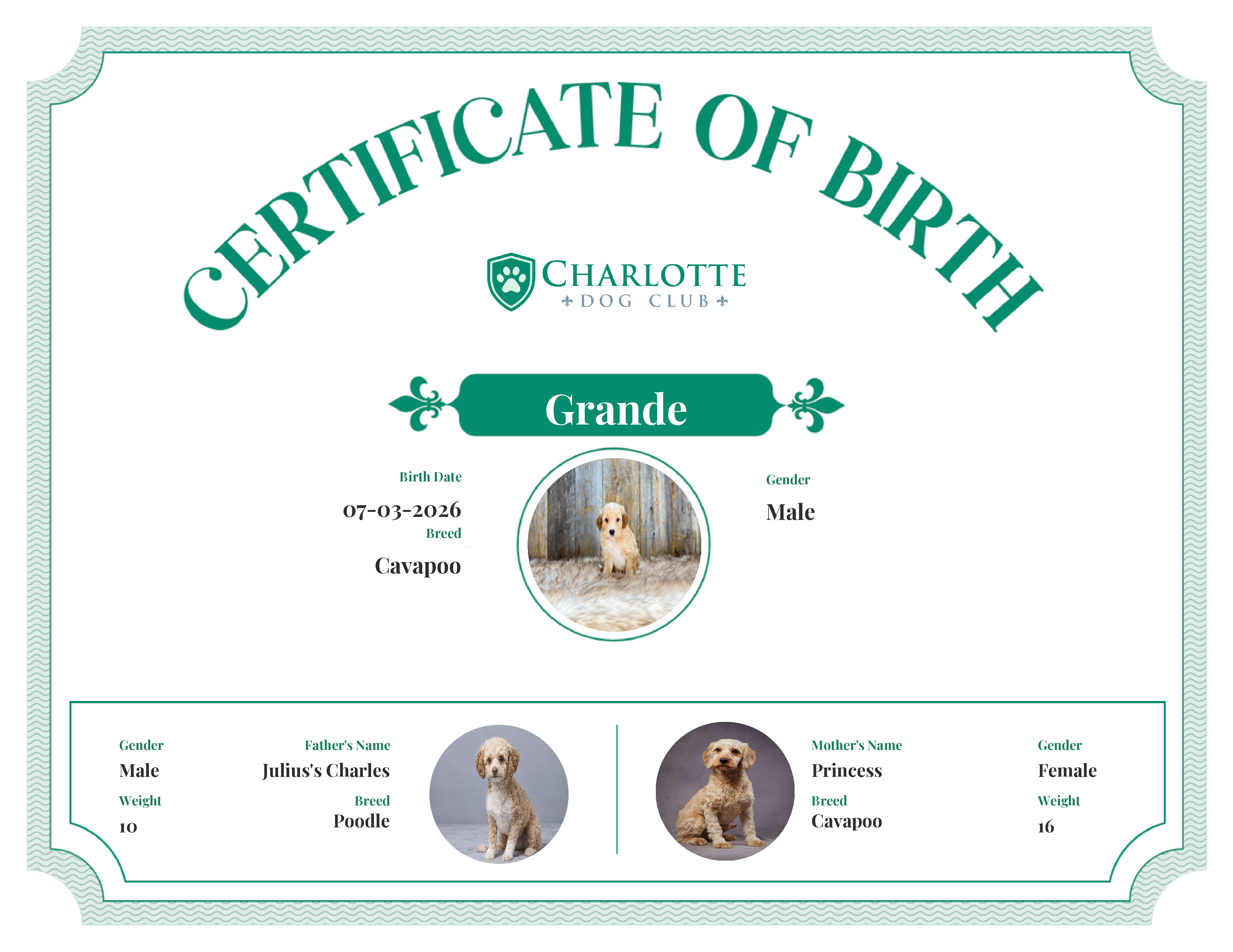 Grande's Birth Certificate