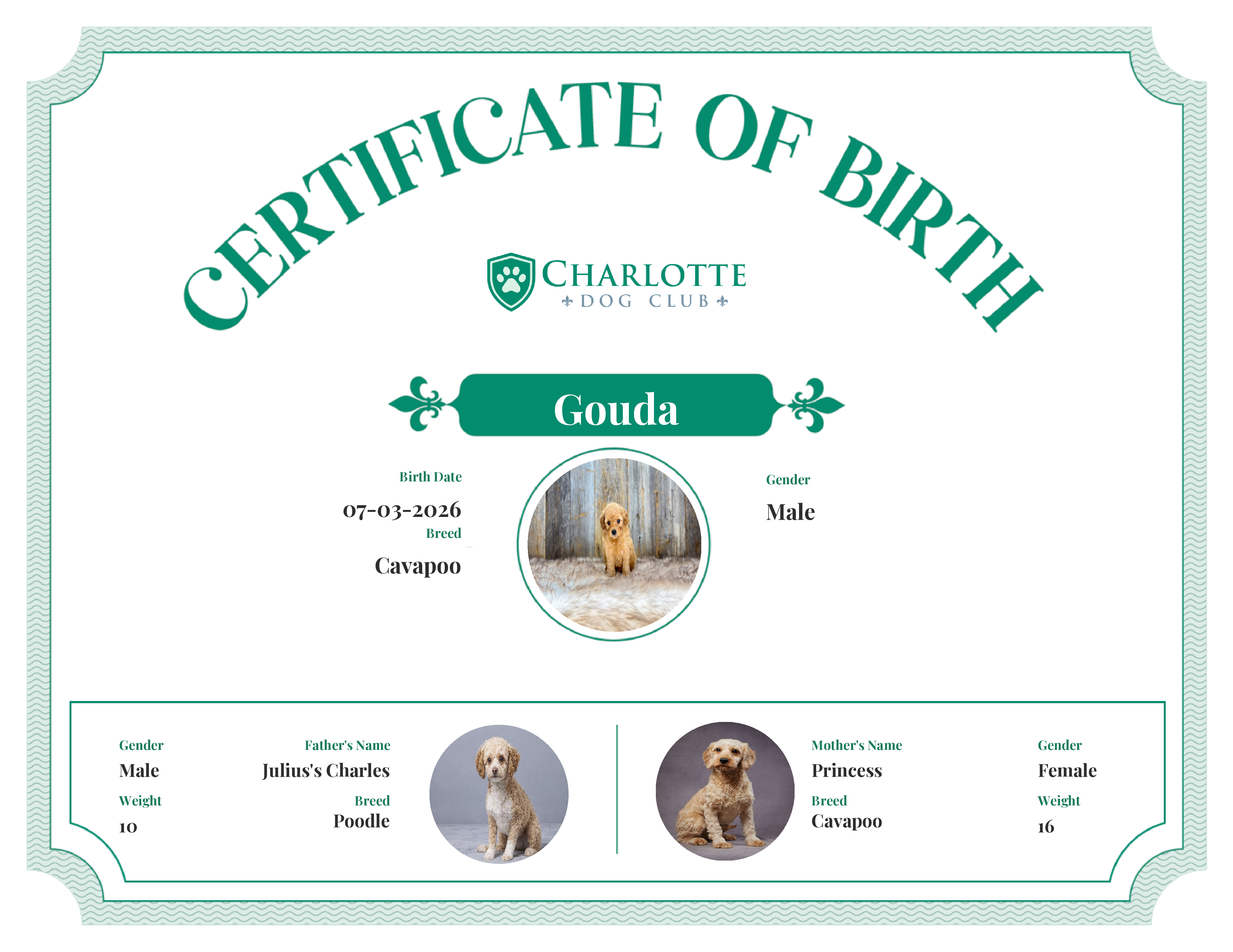 Gouda's Birth Certificate