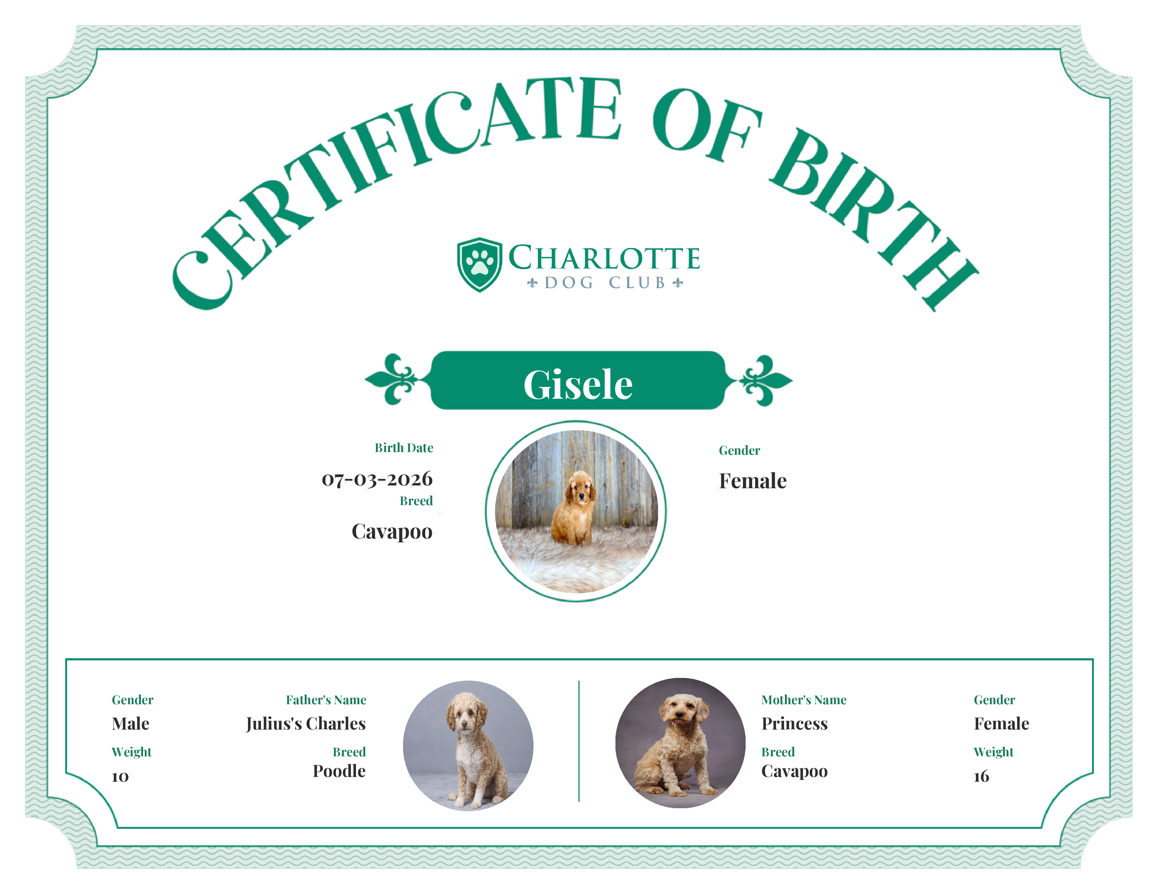 Gisele's Birth Certificate