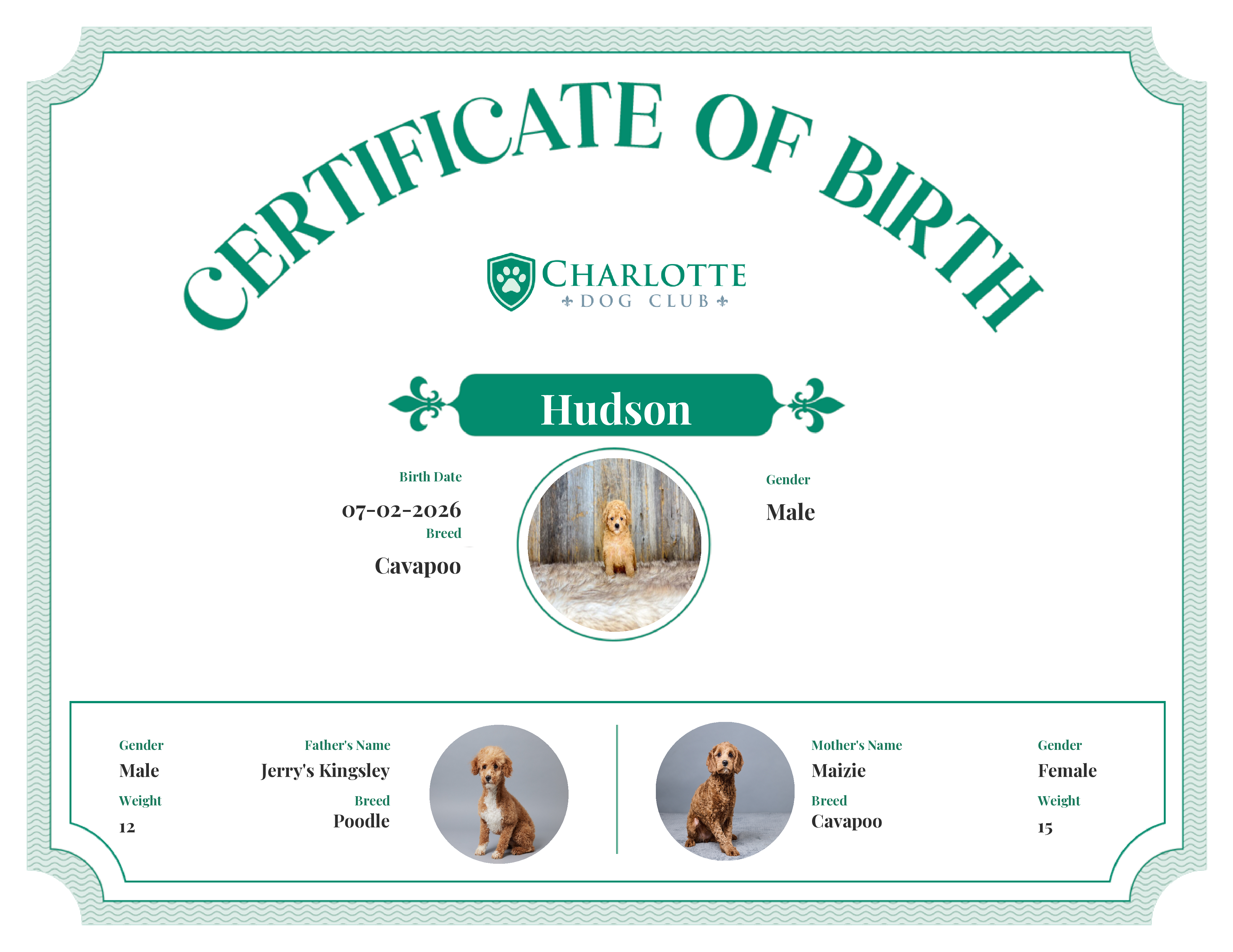 Hudson's Birth Certificate