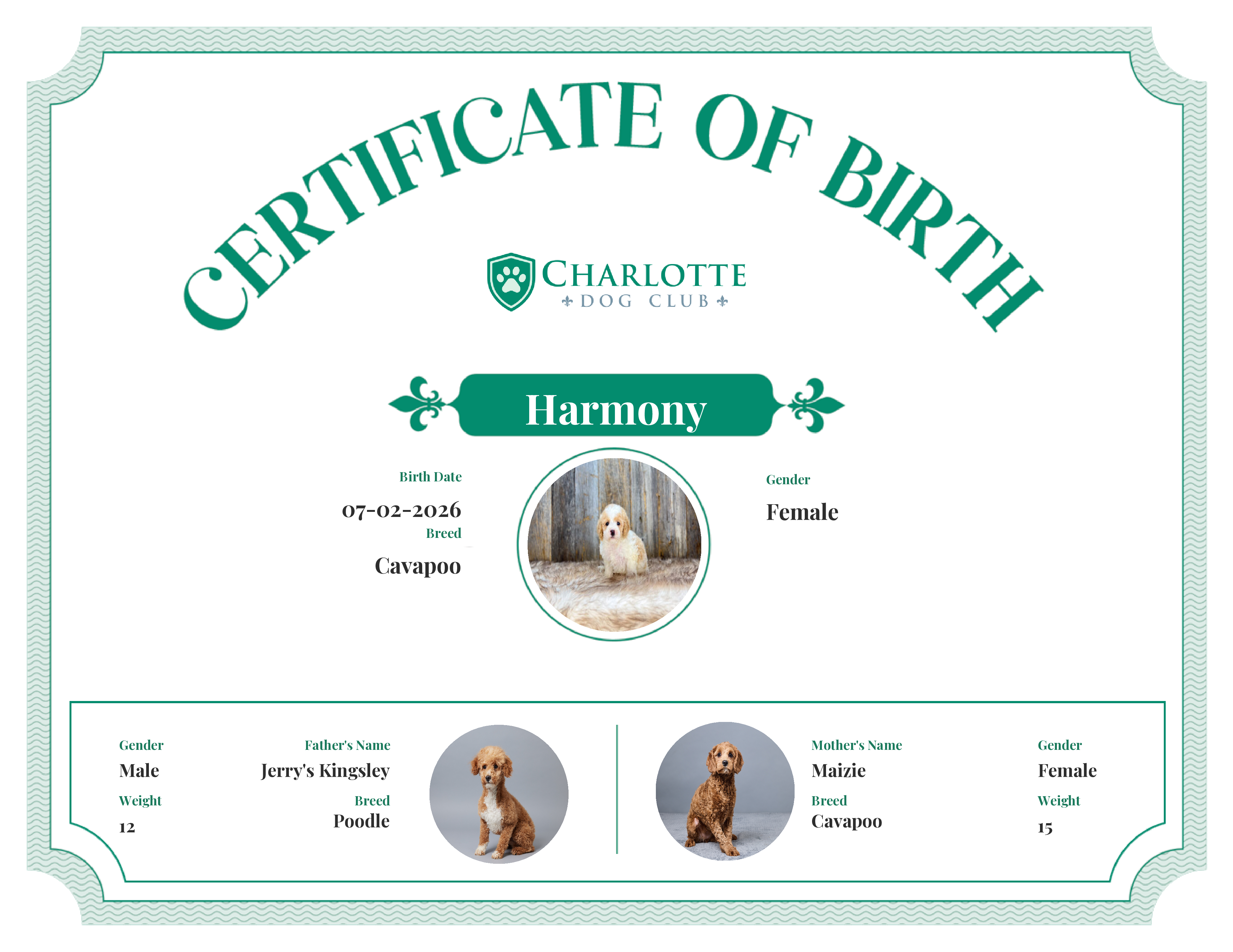 Harmony's Birth Certificate