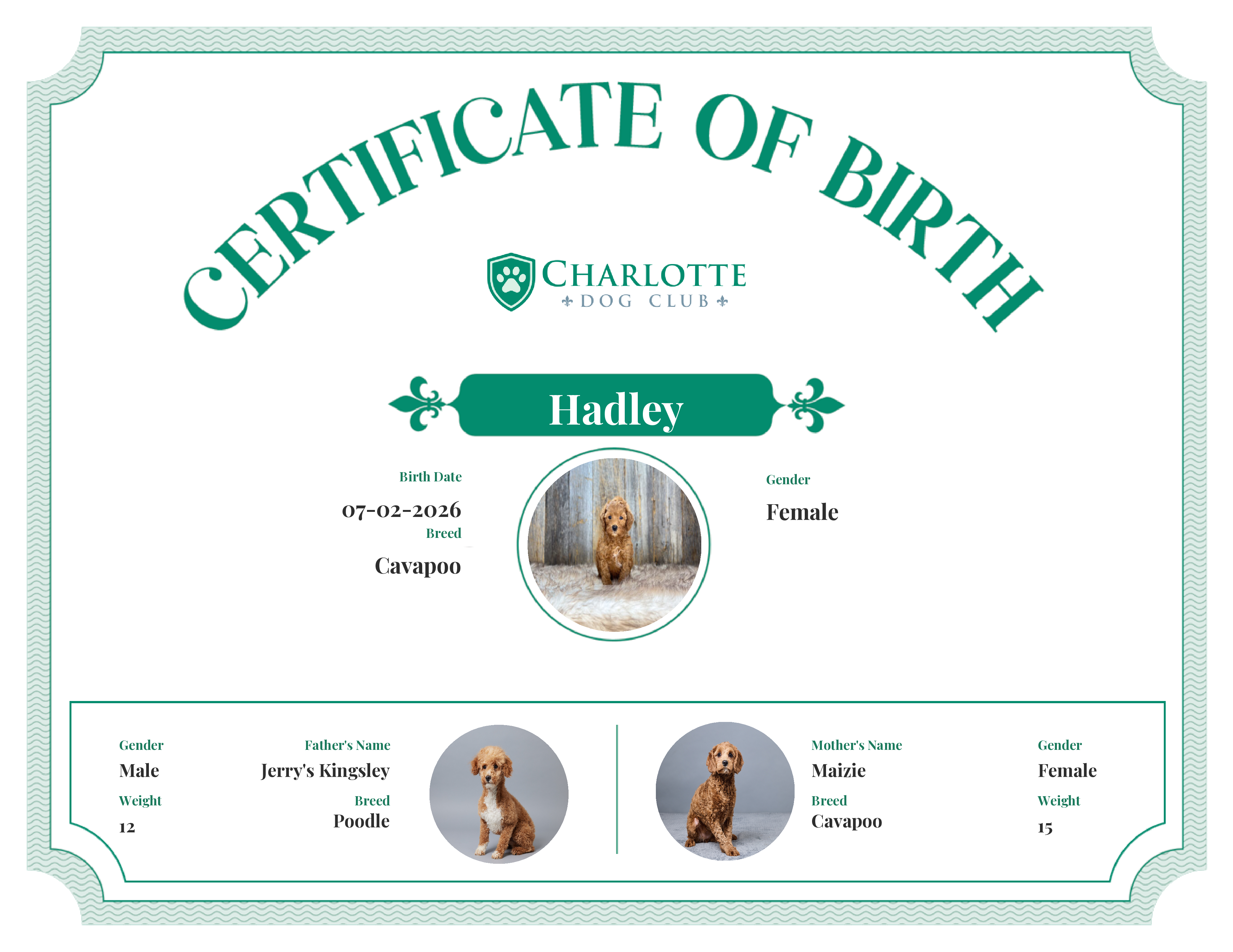 Hadley's Birth Certificate