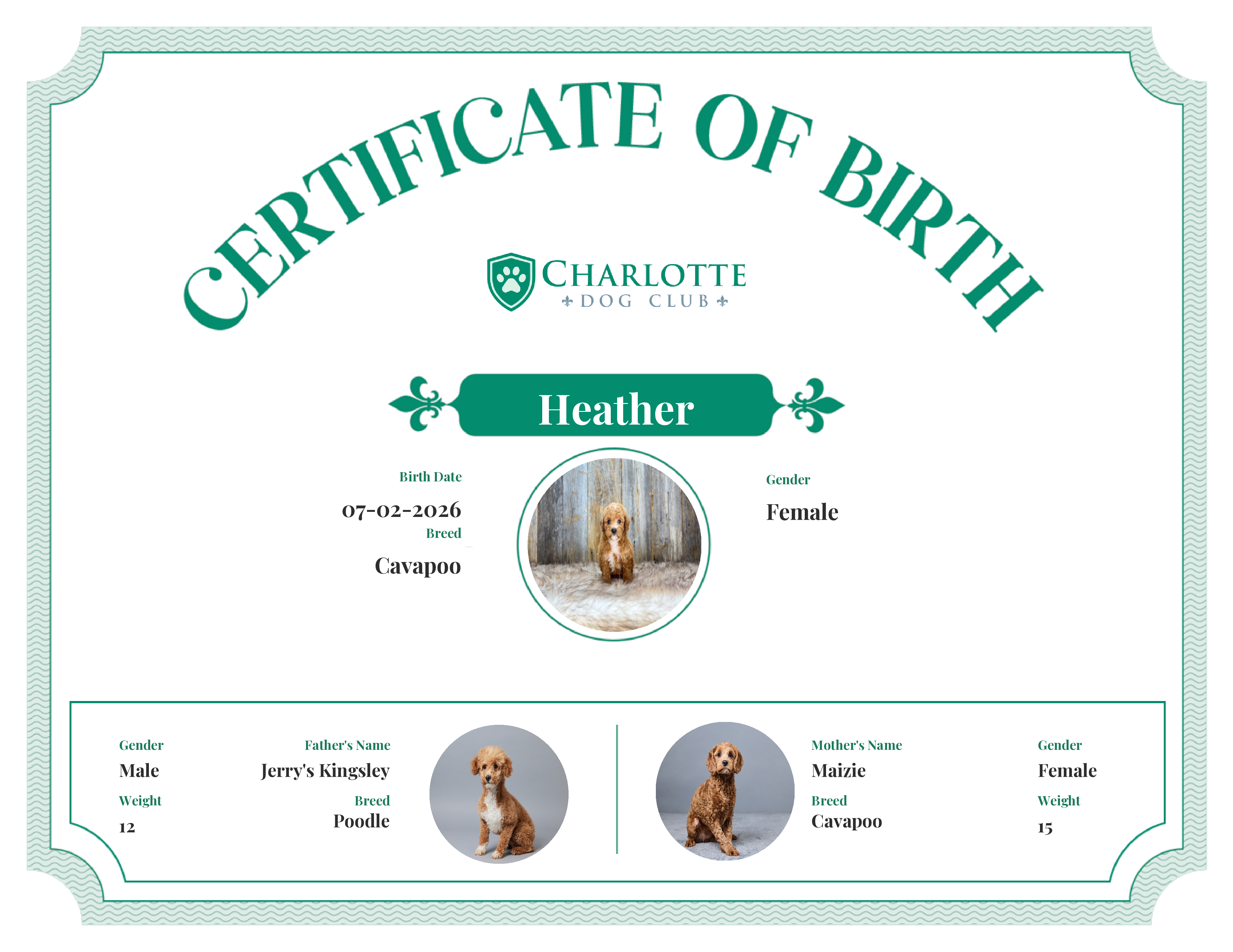 Heather's Birth Certificate