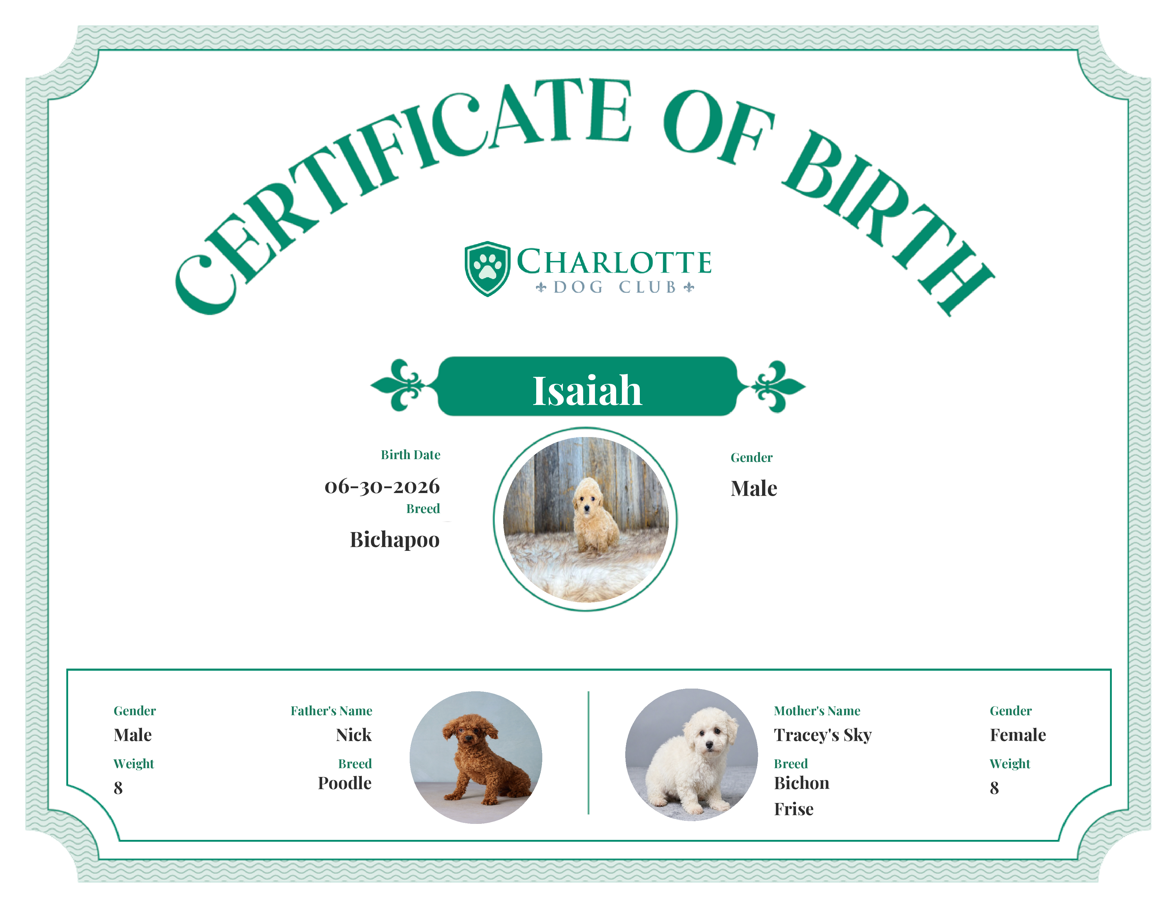 Isaiah's Birth Certificate