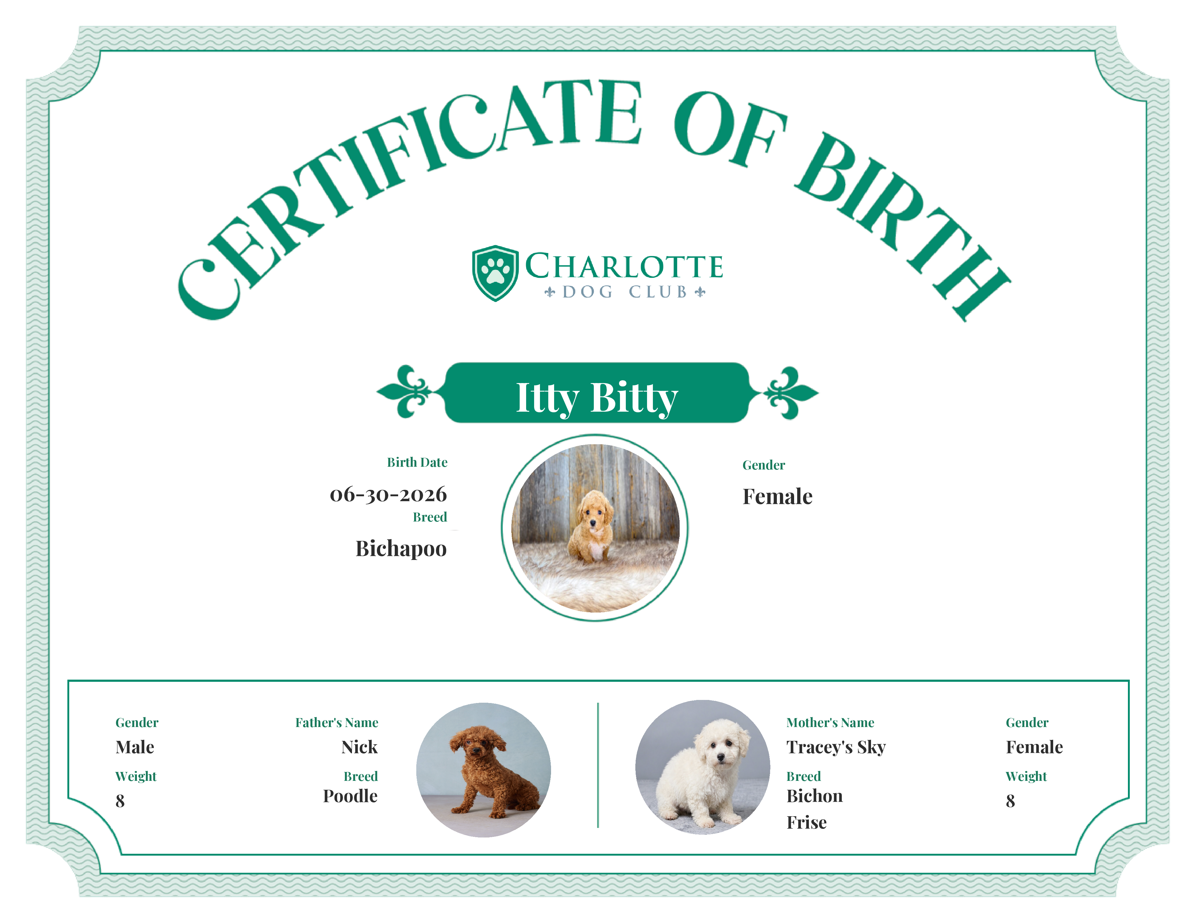 Itty Bitty's Birth Certificate