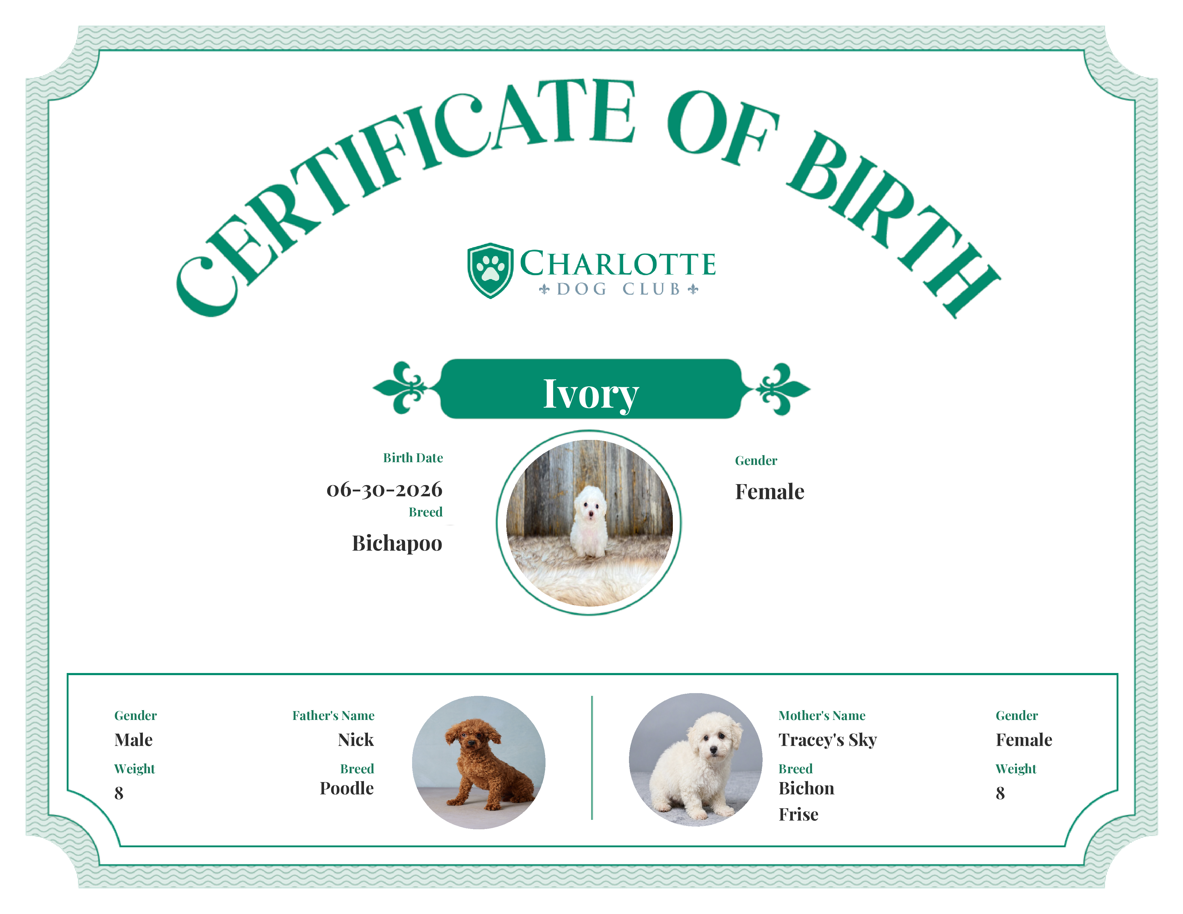Ivory's Birth Certificate