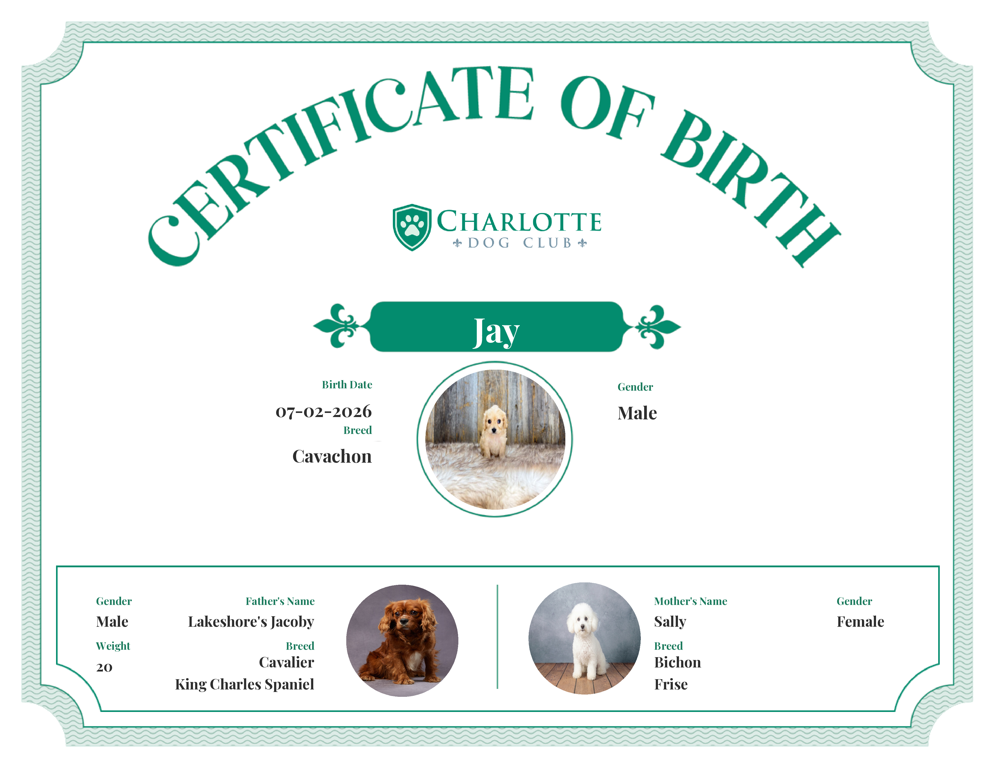 Jay's Birth Certificate
