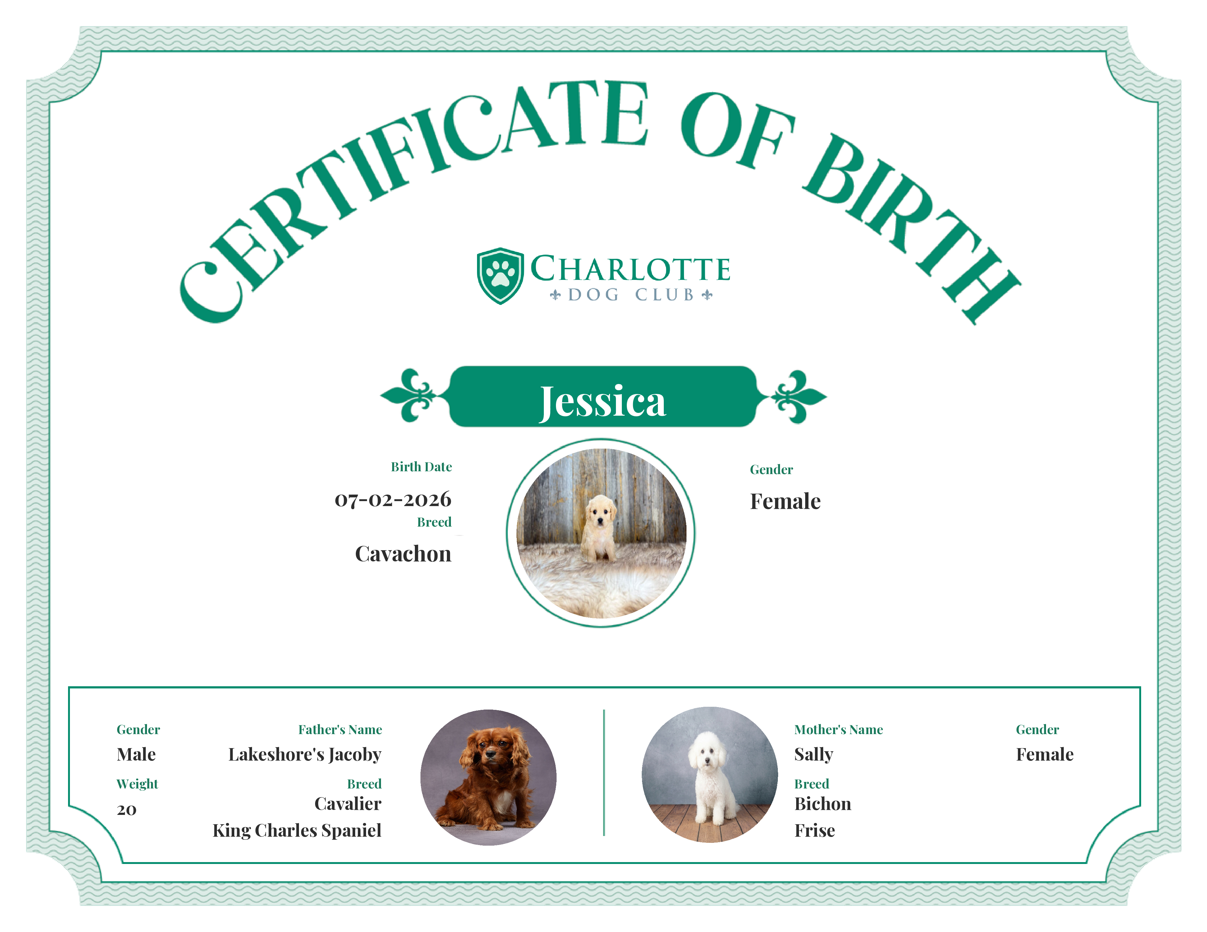 Jessica's Birth Certificate