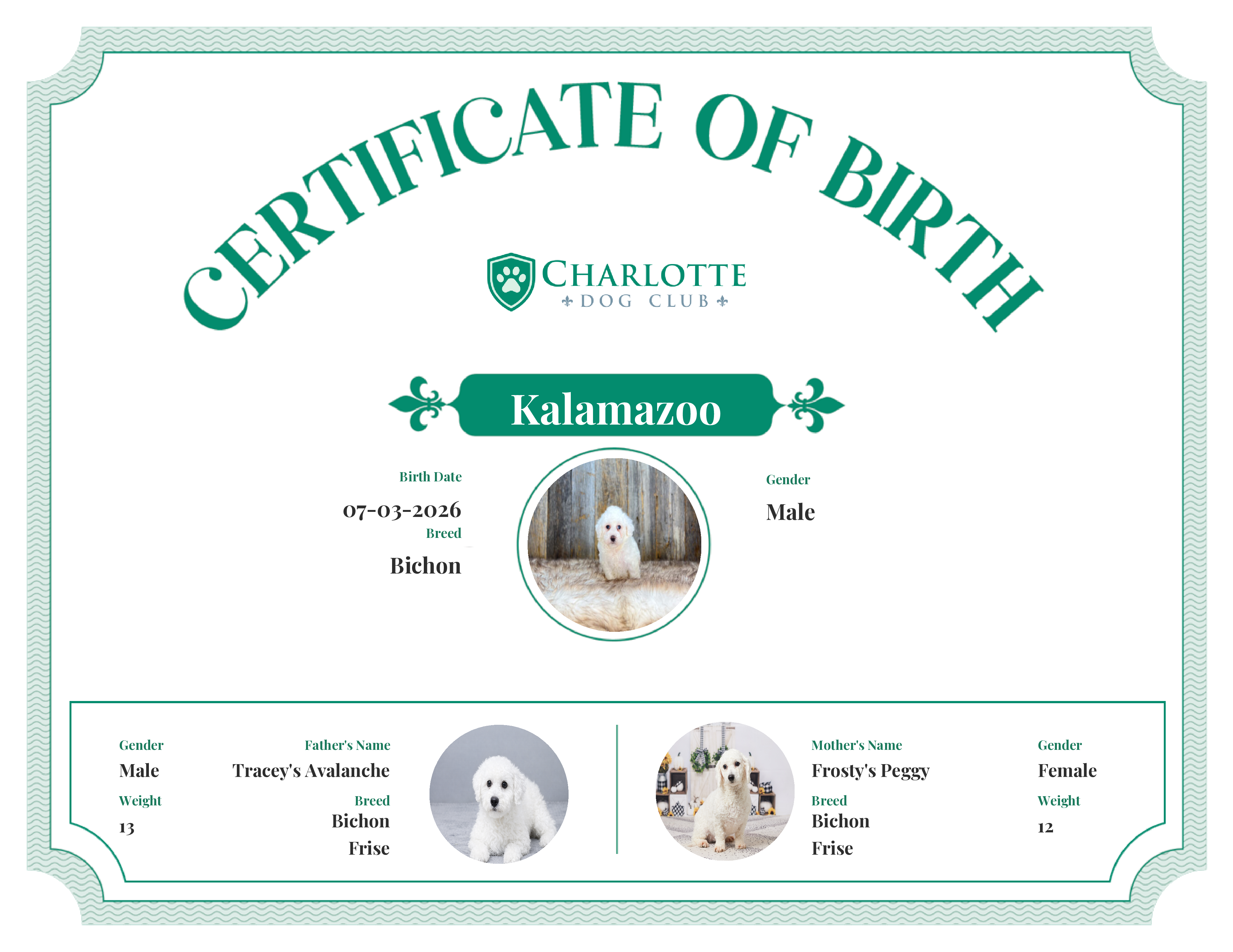 Kalamazoo's Birth Certificate