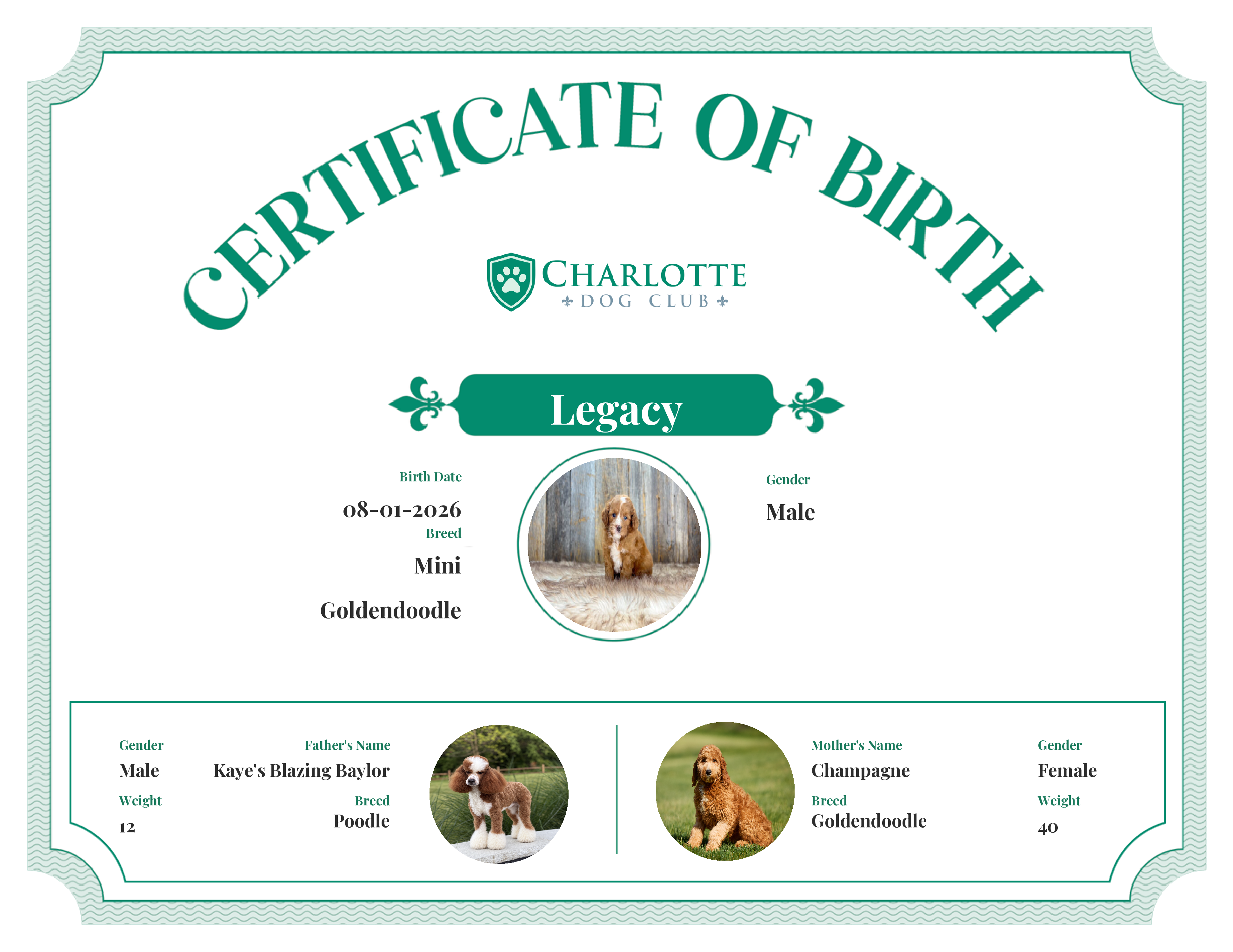 Legacy's Birth Certificate