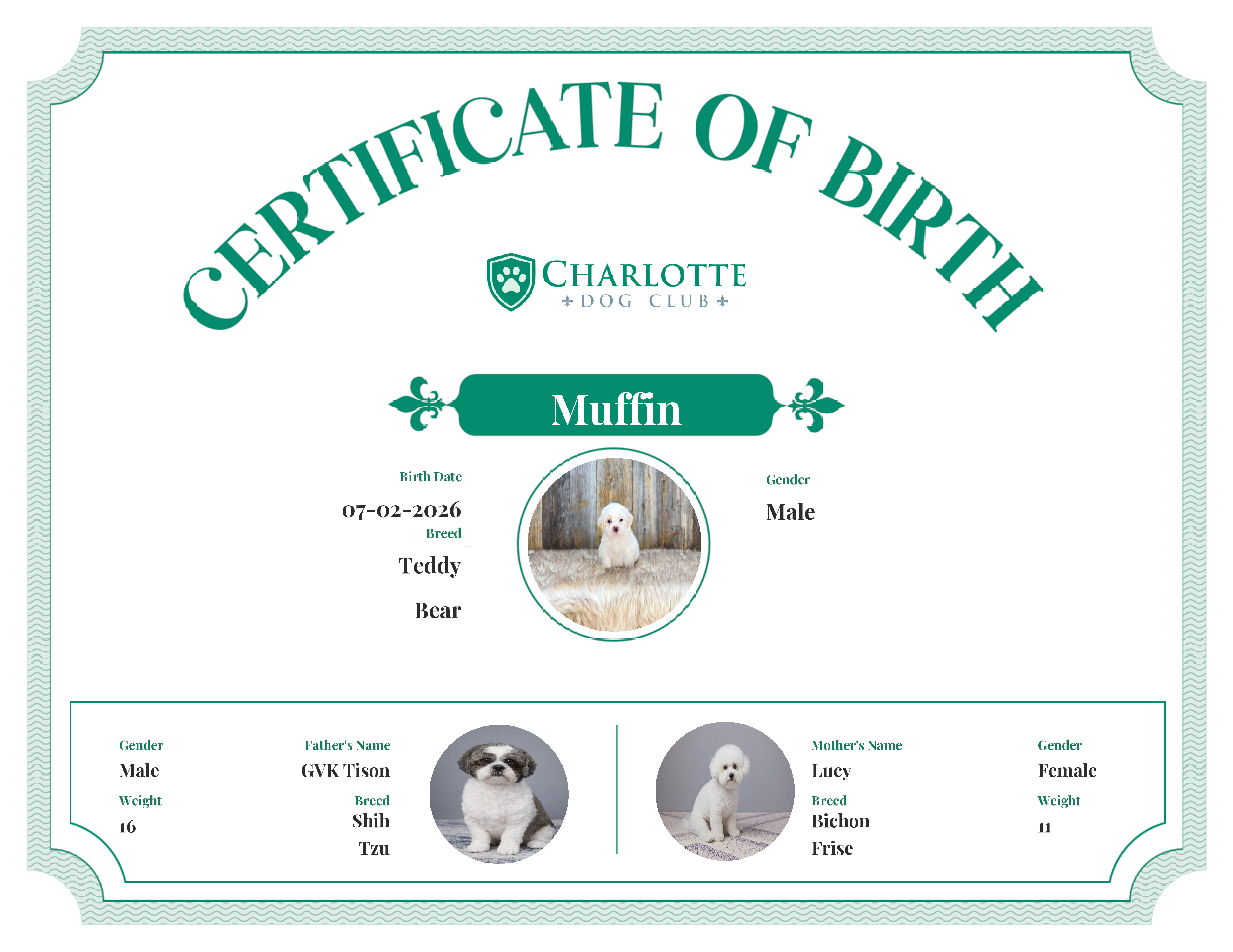 Muffin's Birth Certificate