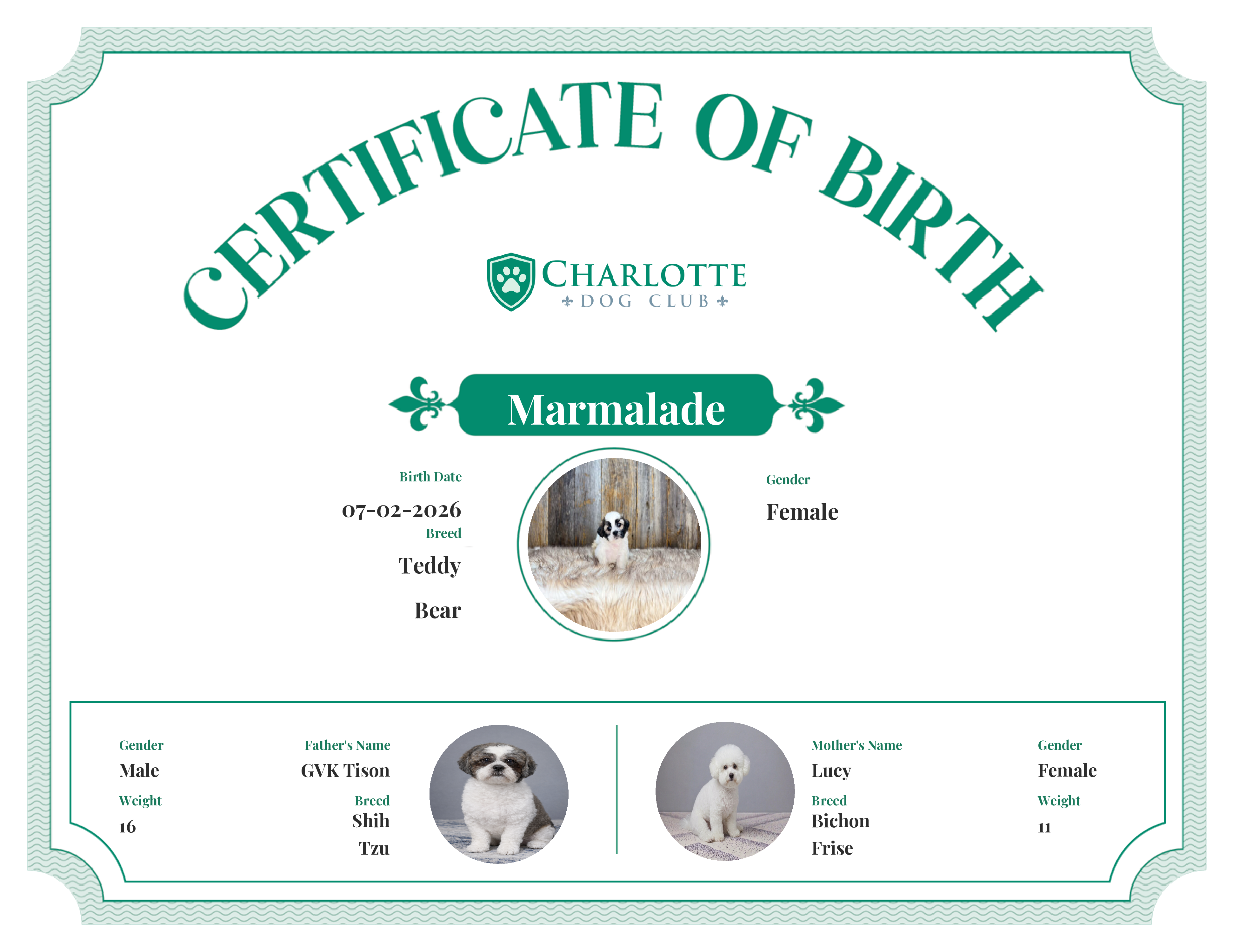 Marmalade's Birth Certificate