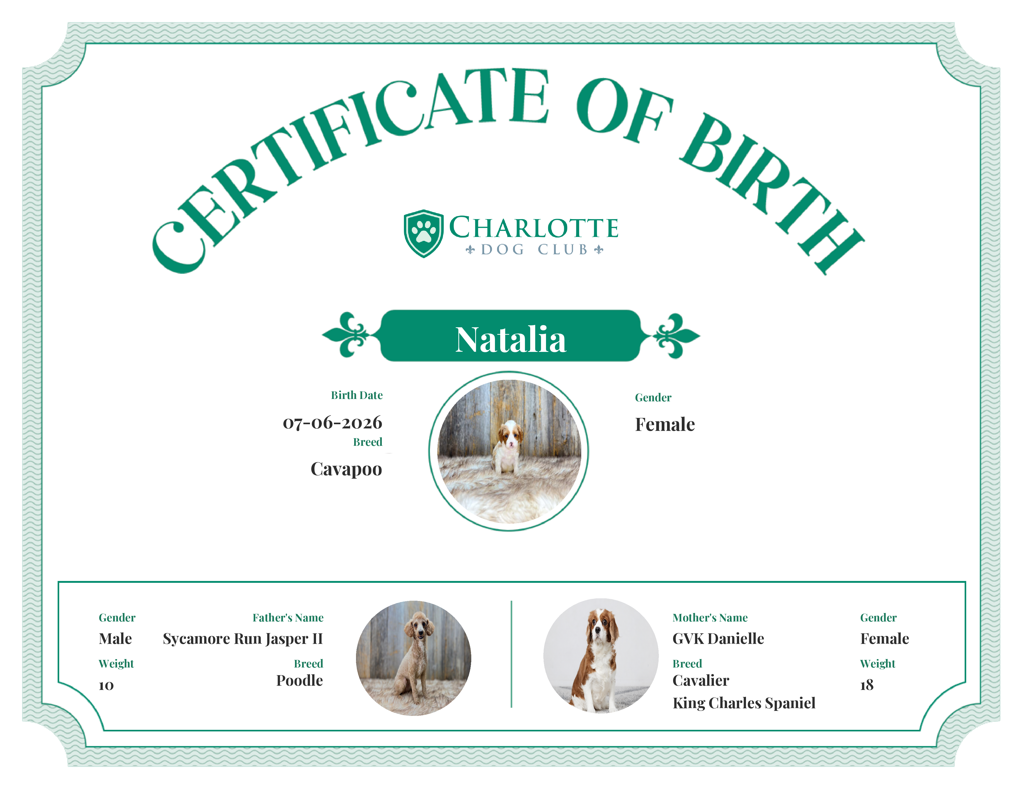 Natalia's Birth Certificate