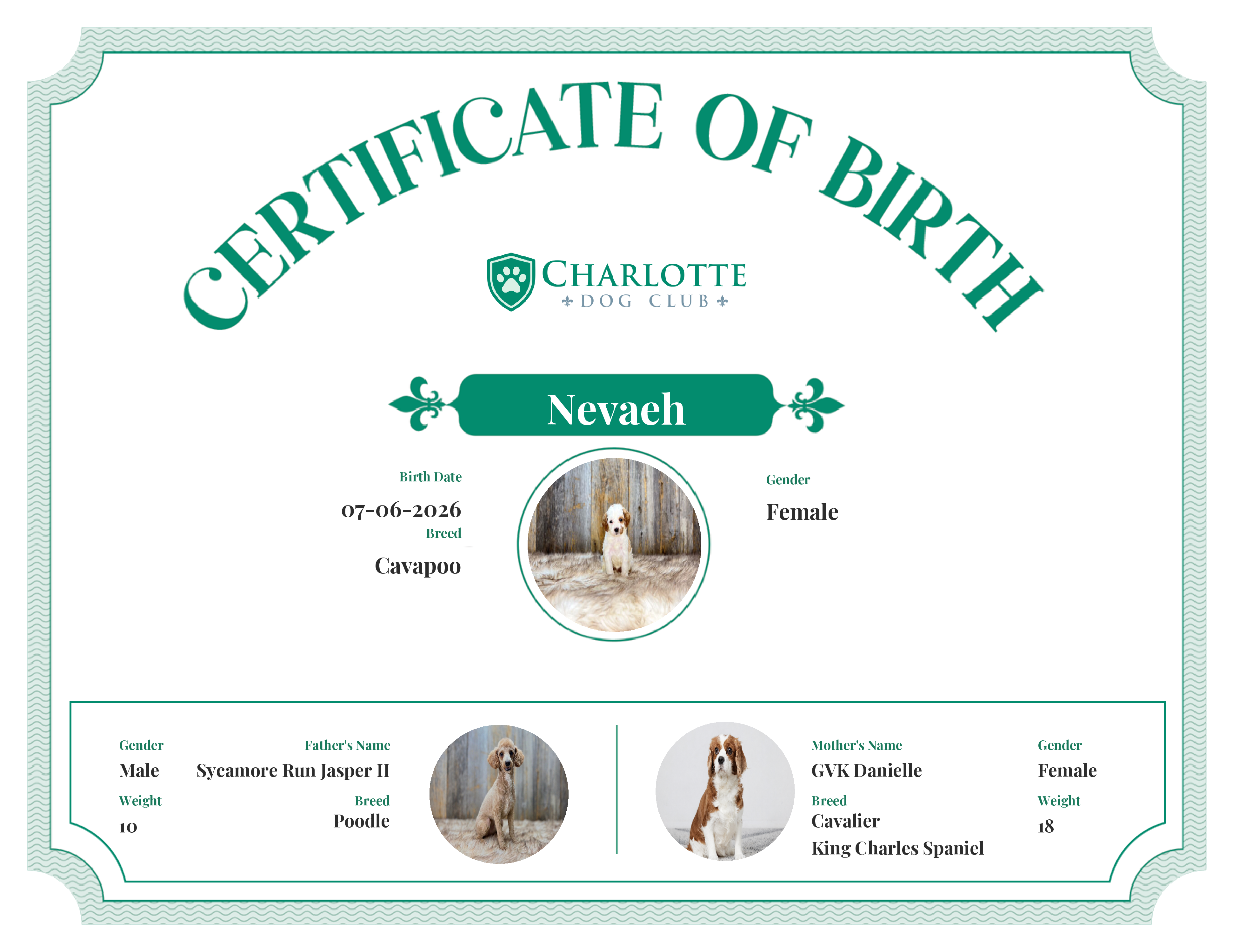 Nevaeh's Birth Certificate