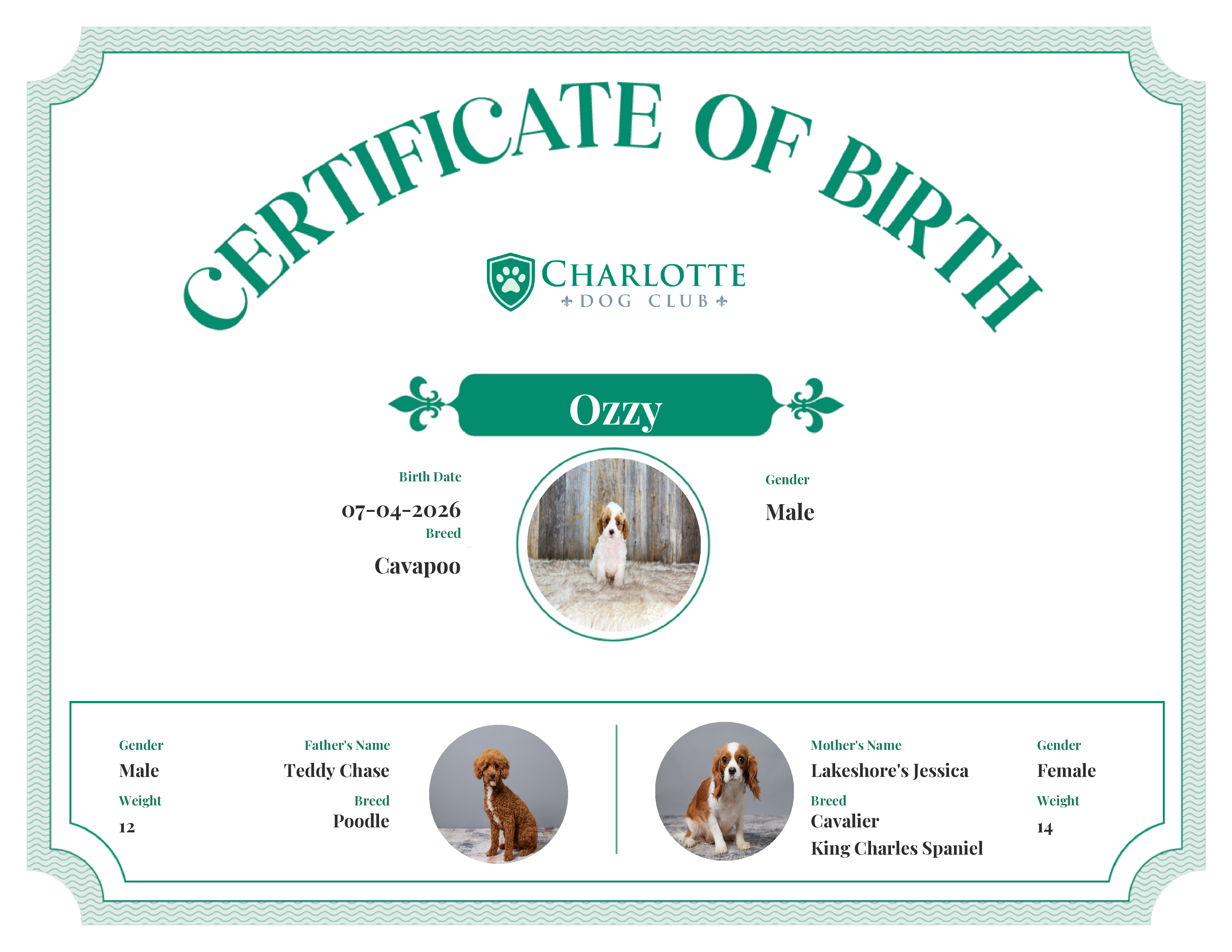 Ozzy's Birth Certificate