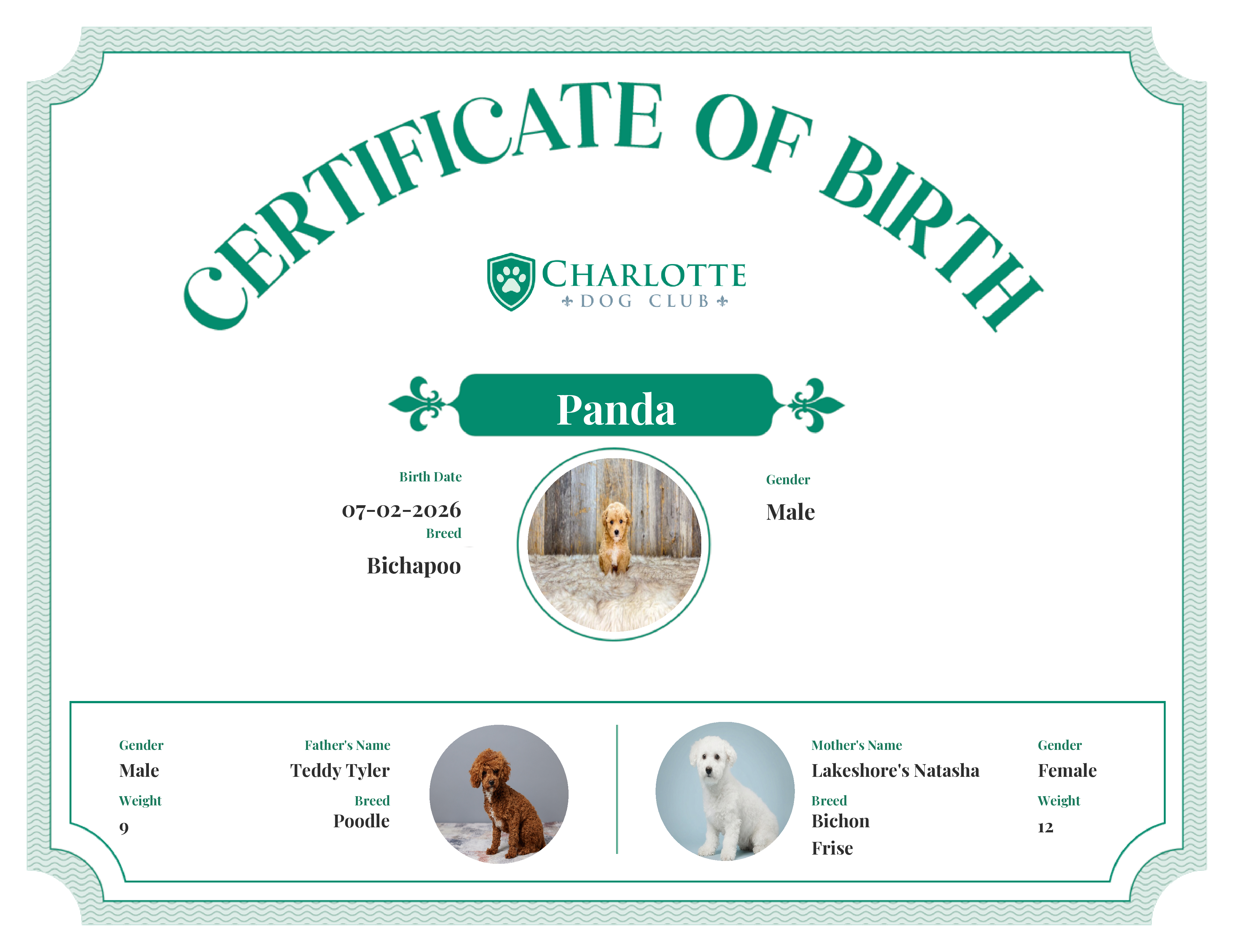 Panda's Birth Certificate