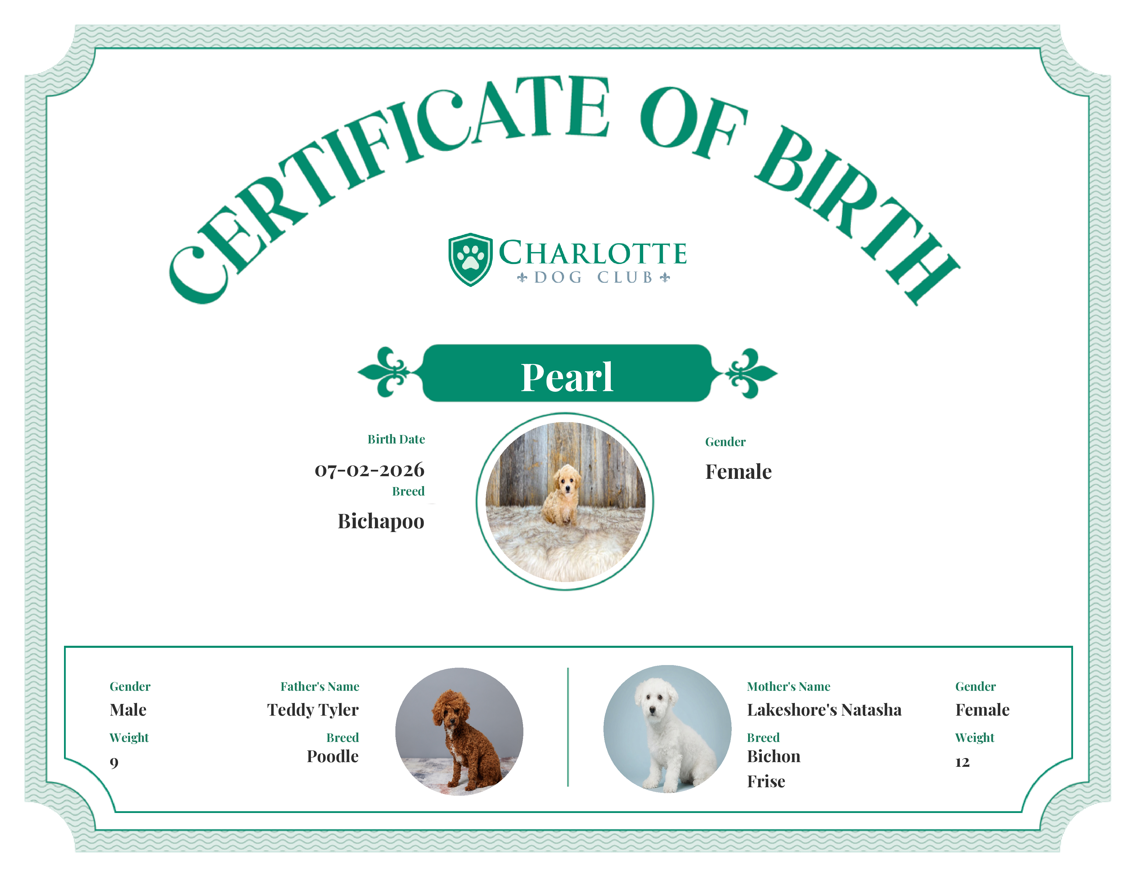 Pearl's Birth Certificate