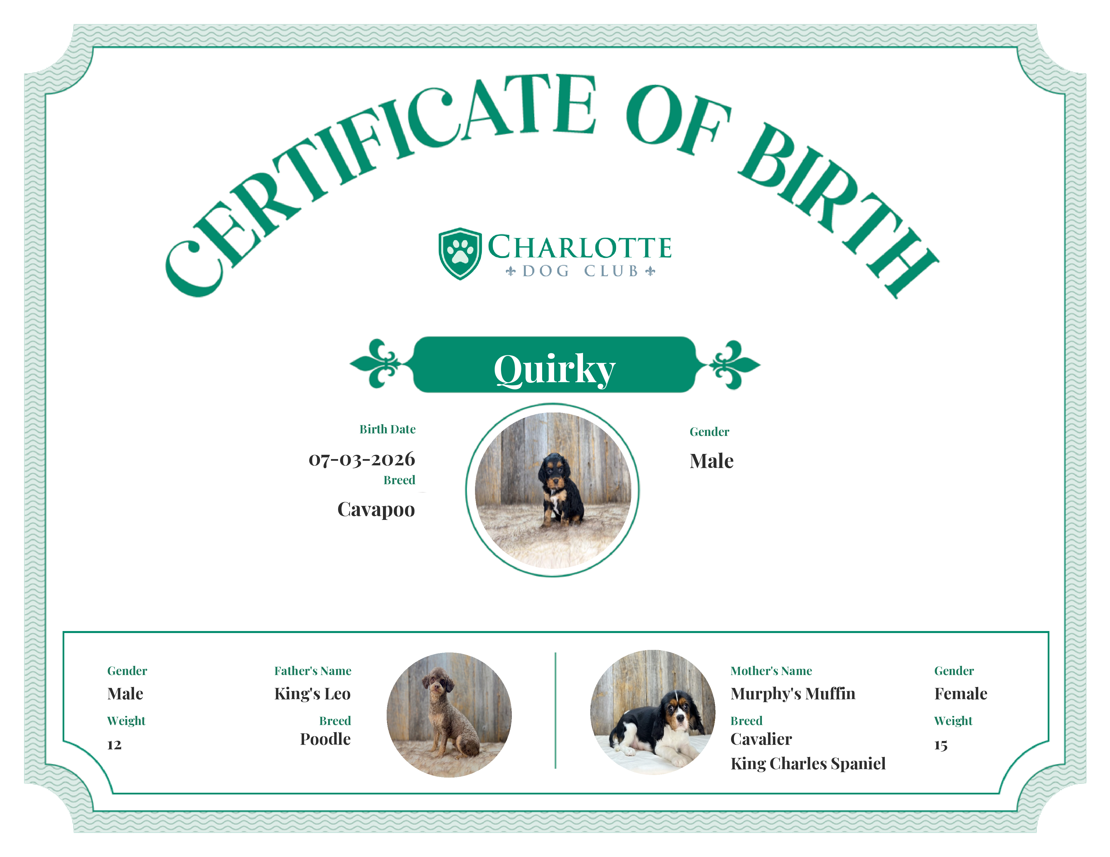 Quirky's Birth Certificate