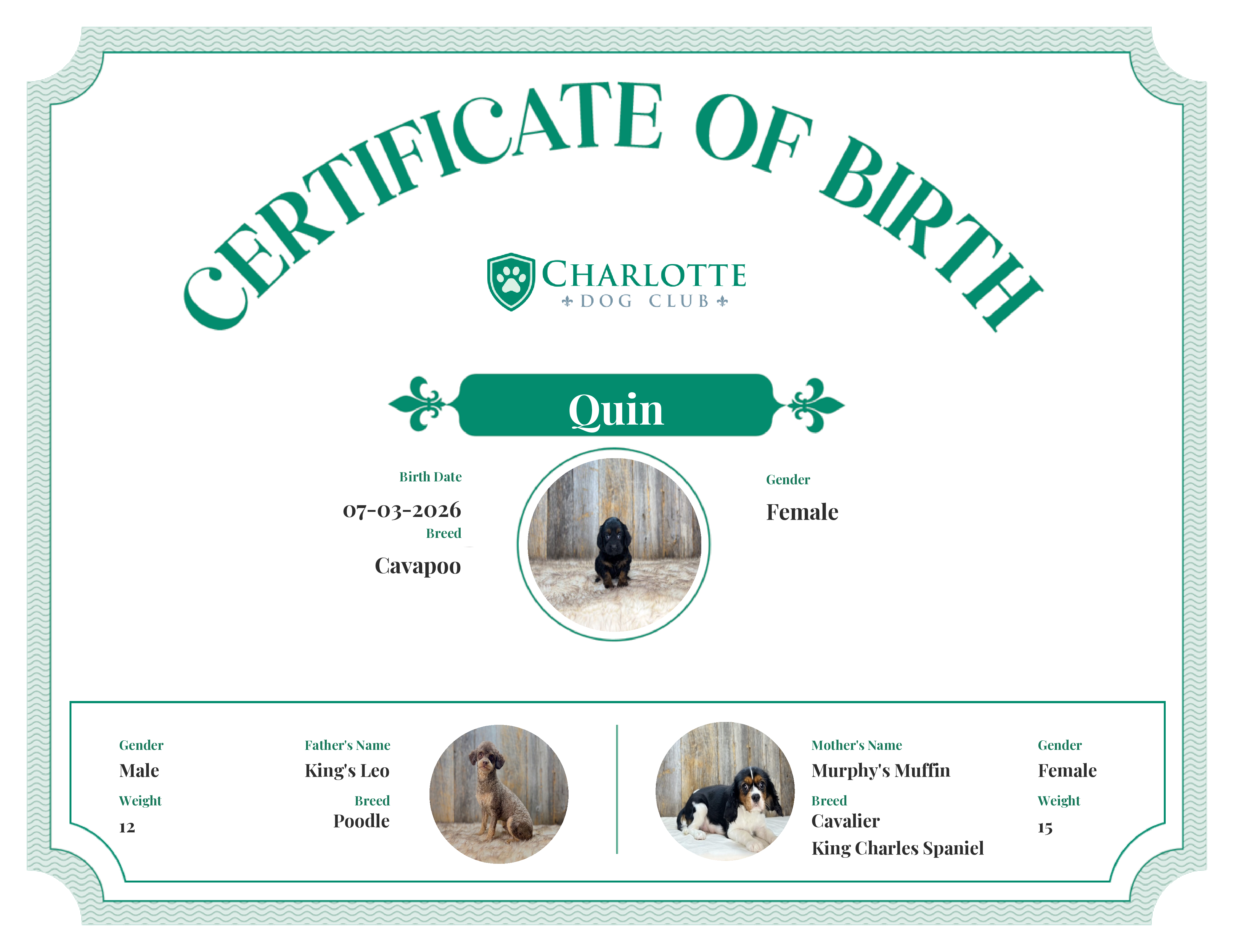 Quin's Birth Certificate