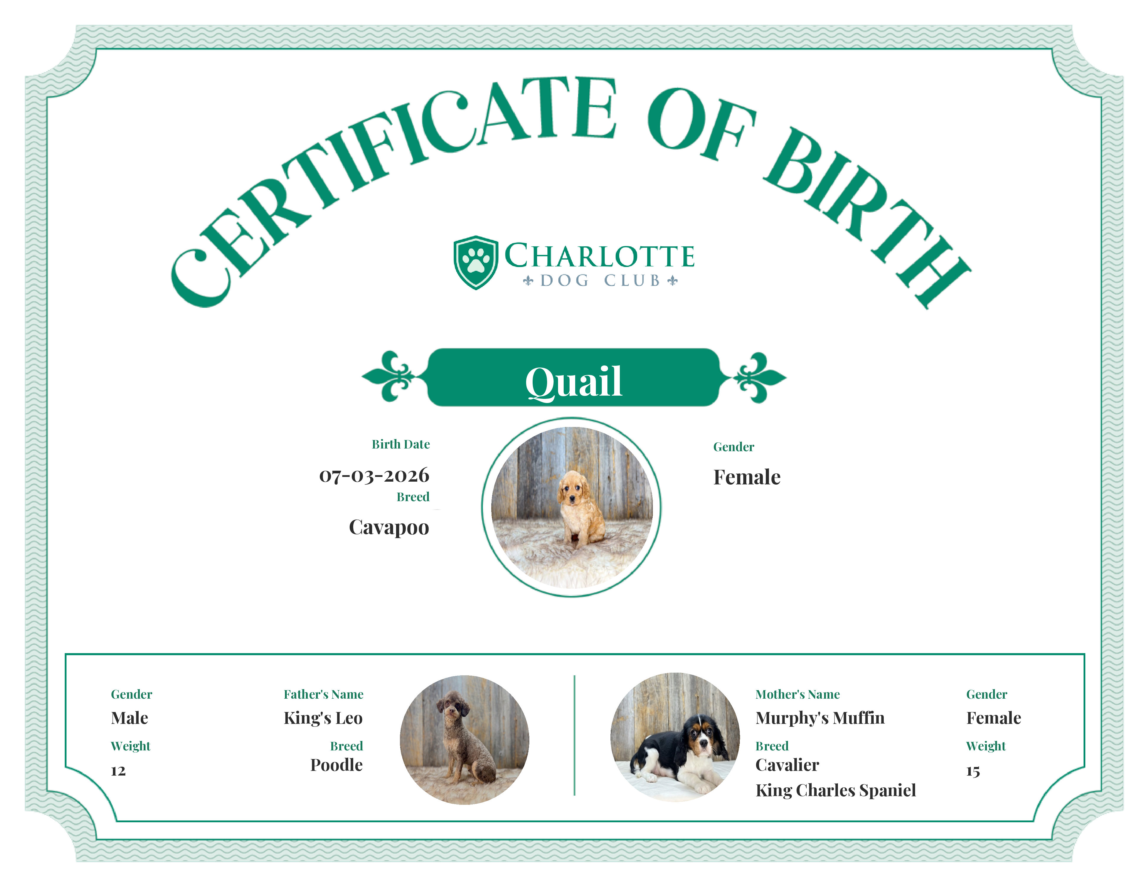 Quail's Birth Certificate