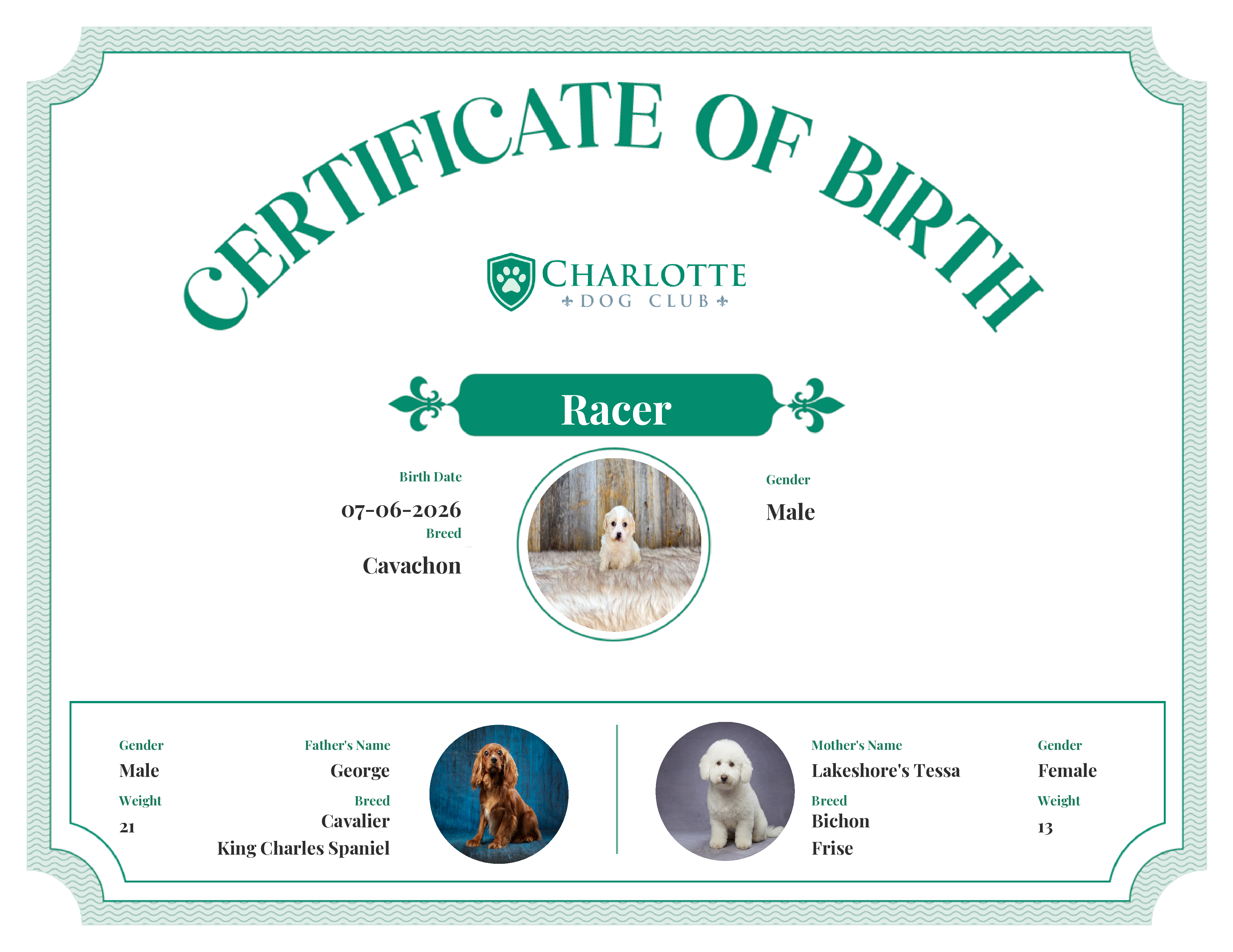 Racer's Birth Certificate