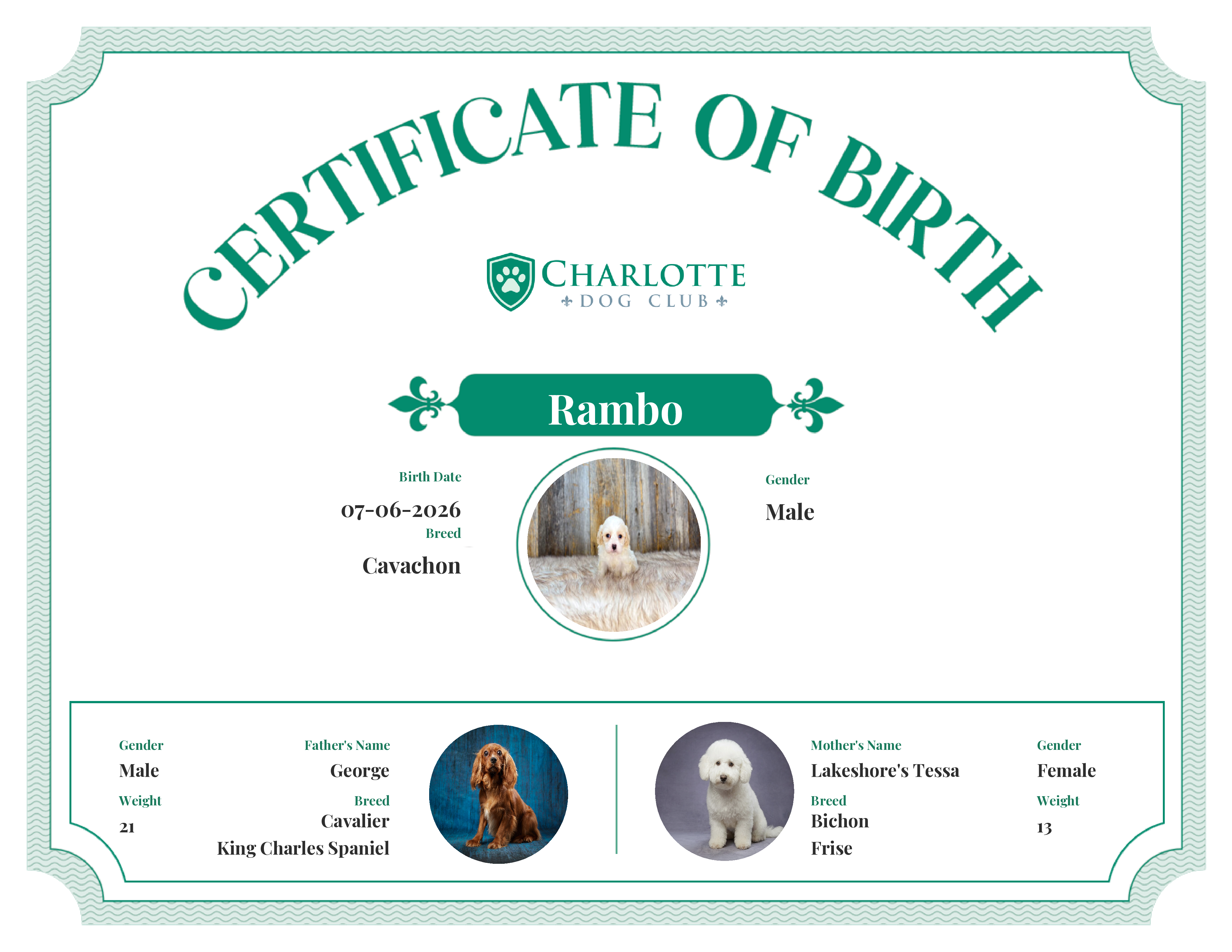Rambo's Birth Certificate