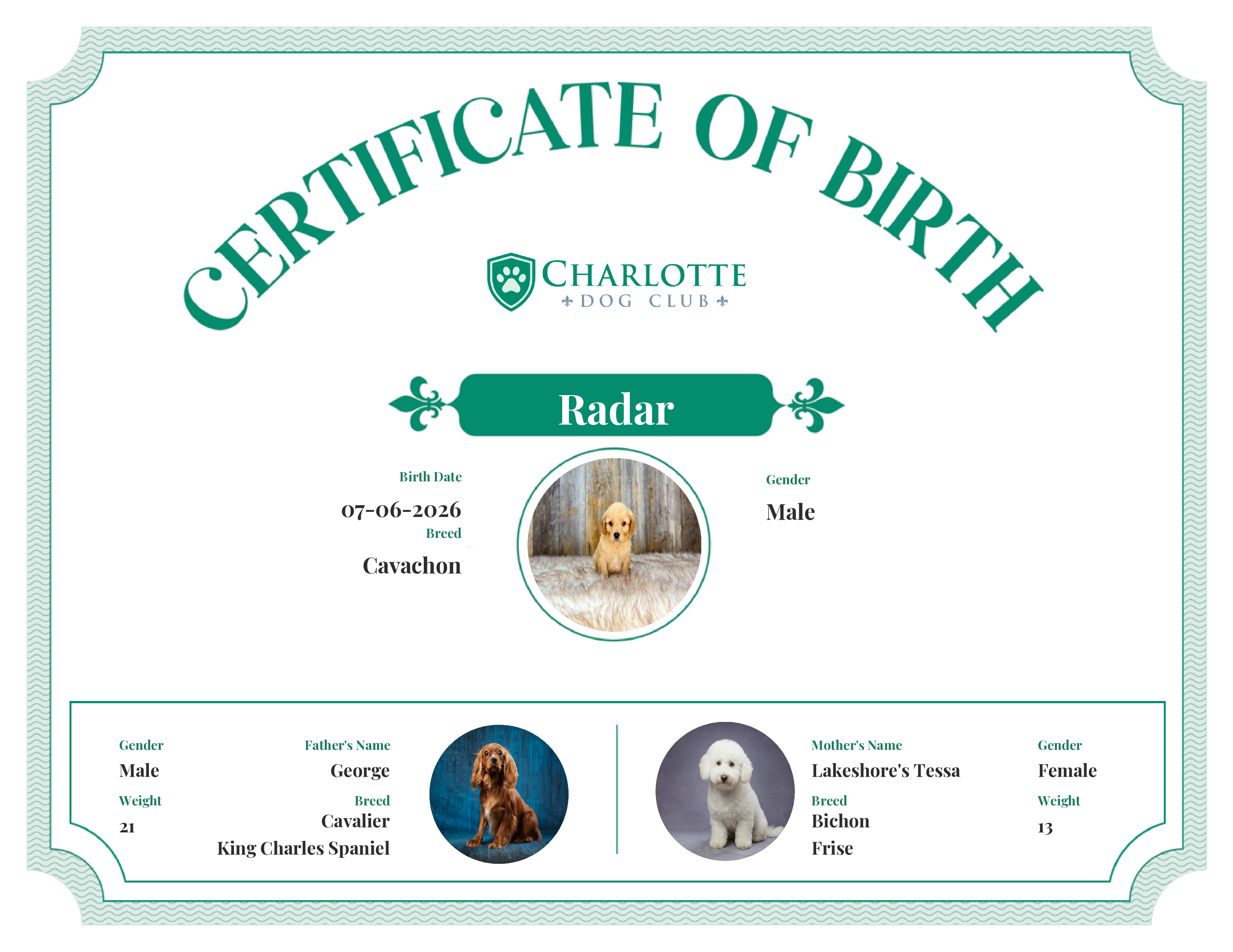 Radar's Birth Certificate