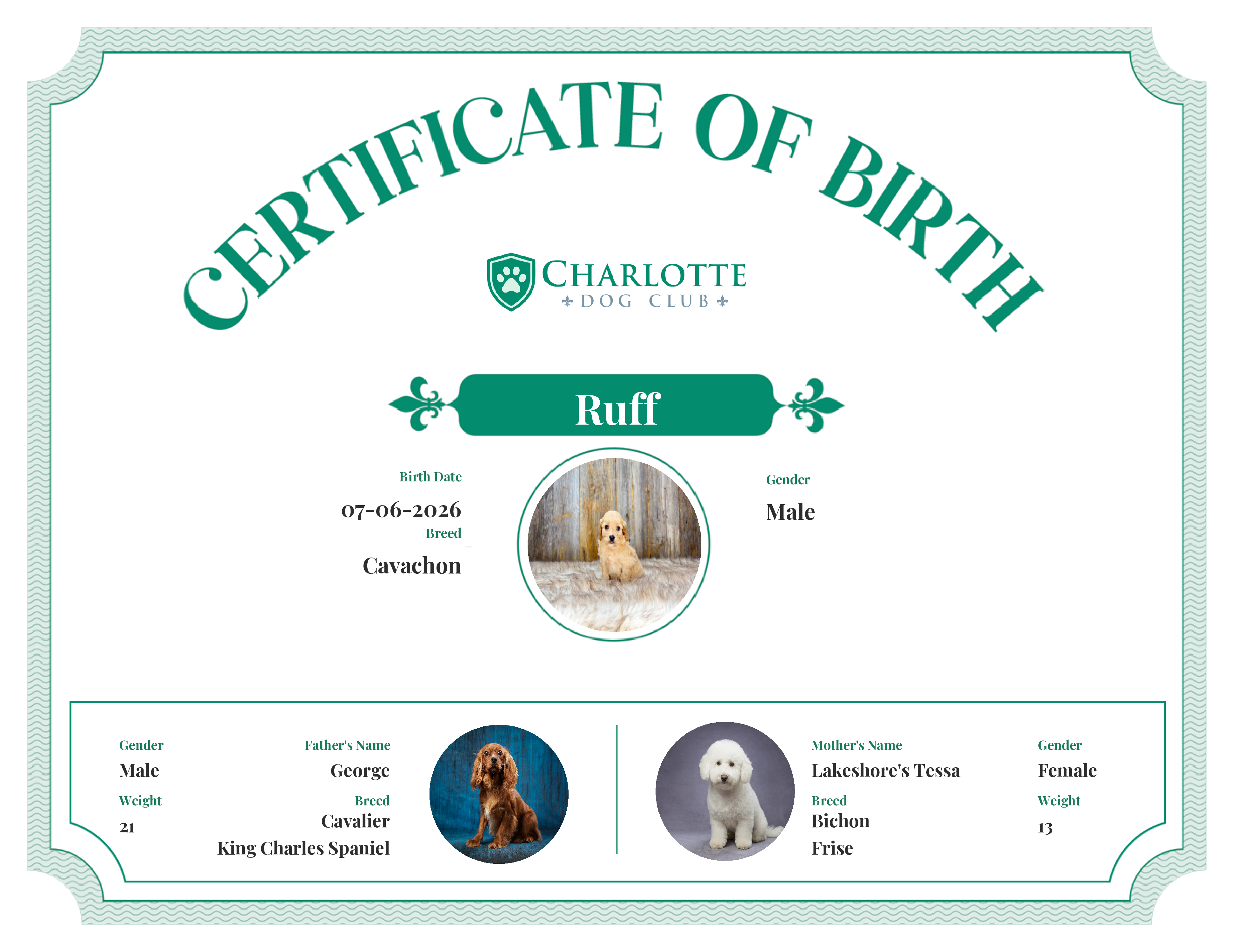Ruff's Birth Certificate