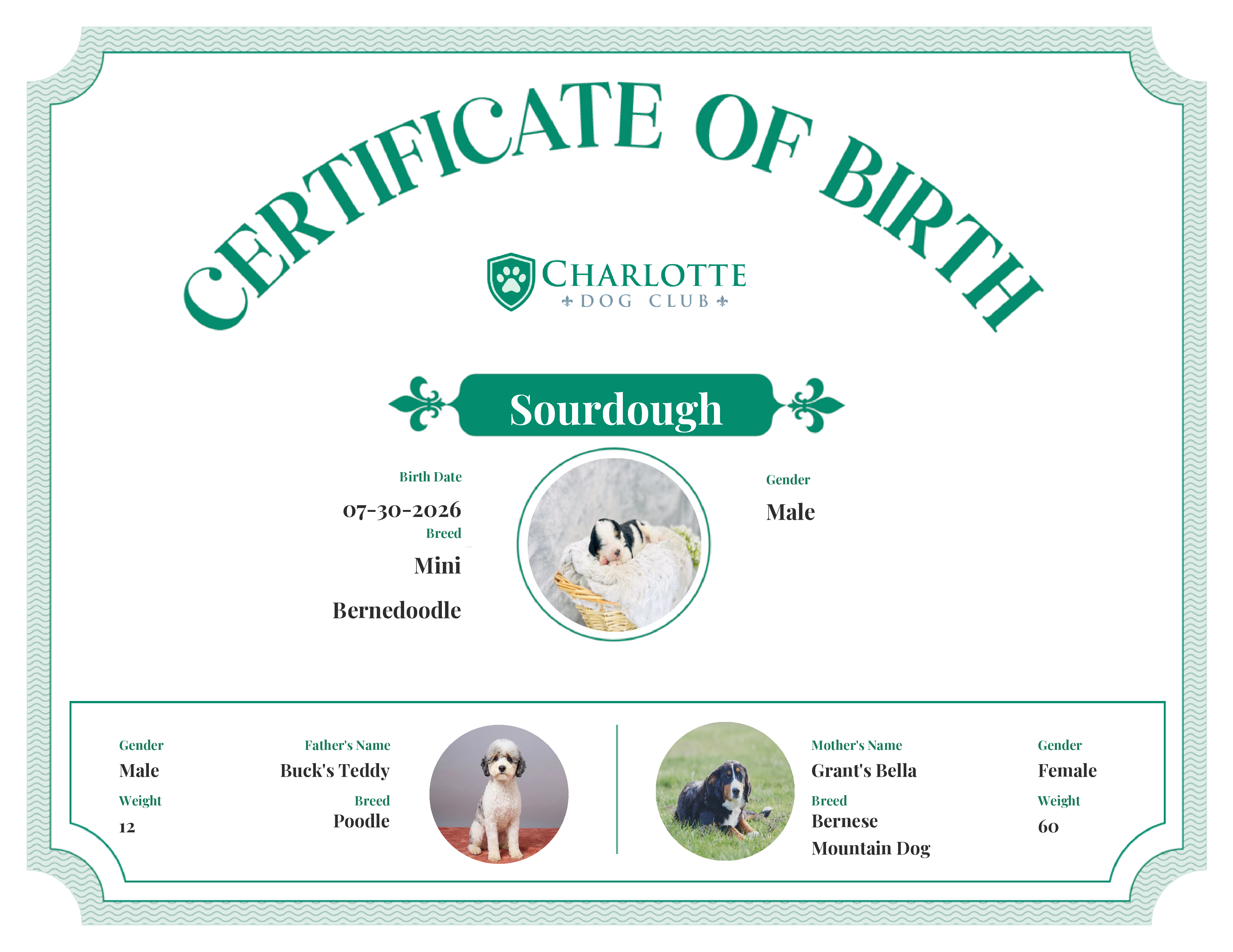 Sourdough's Birth Certificate