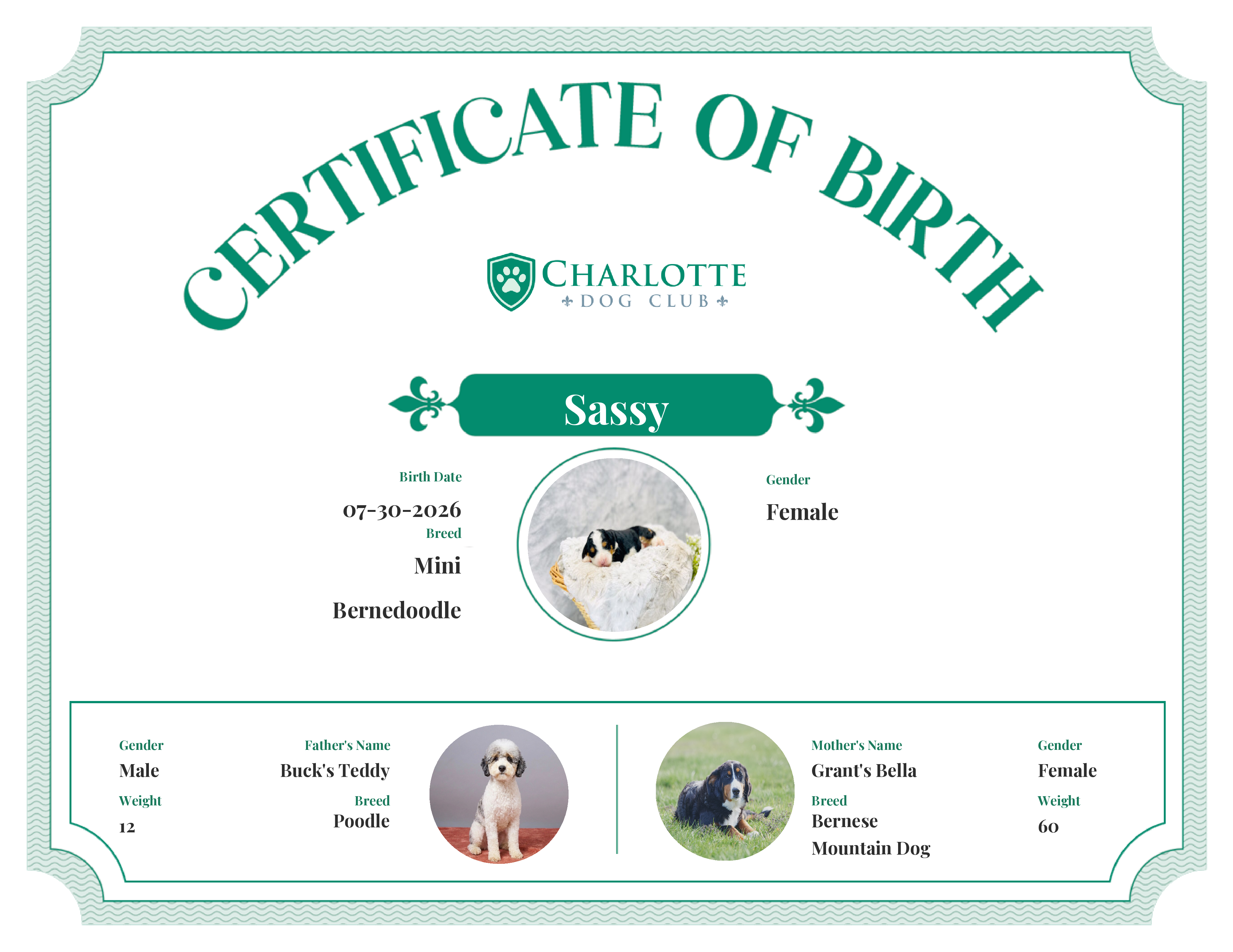 Sassy's Birth Certificate