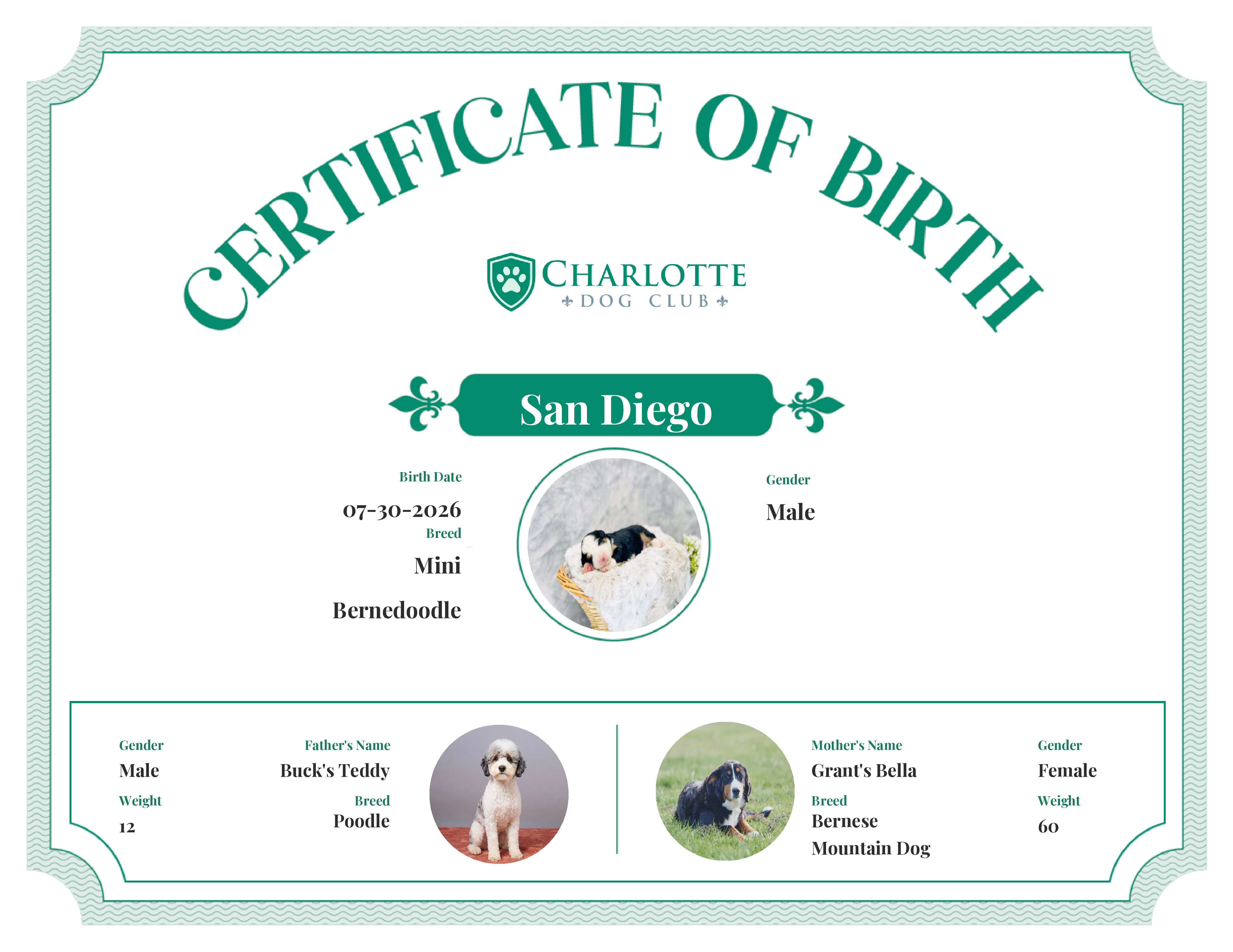 San Diego's Birth Certificate