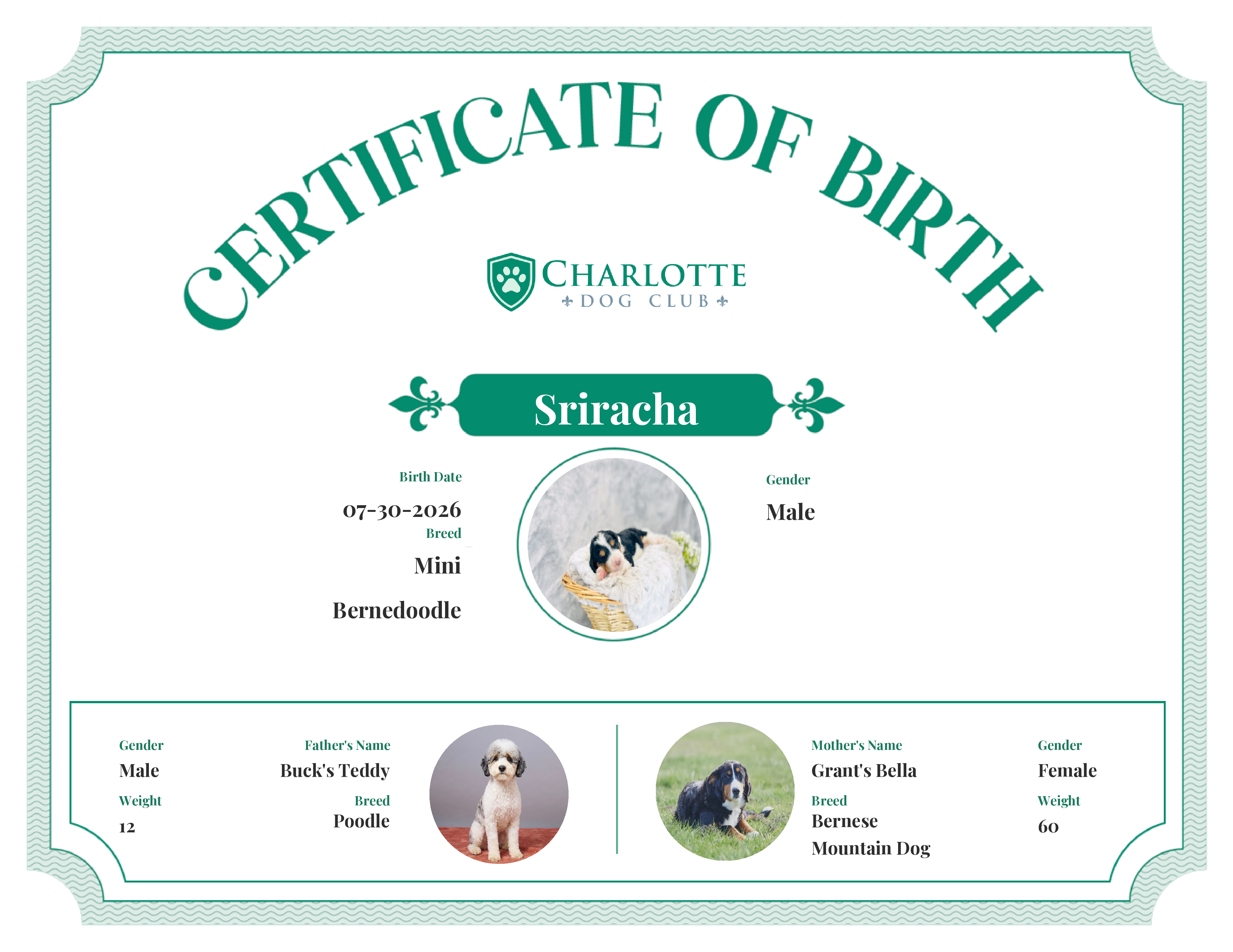Sriracha's Birth Certificate