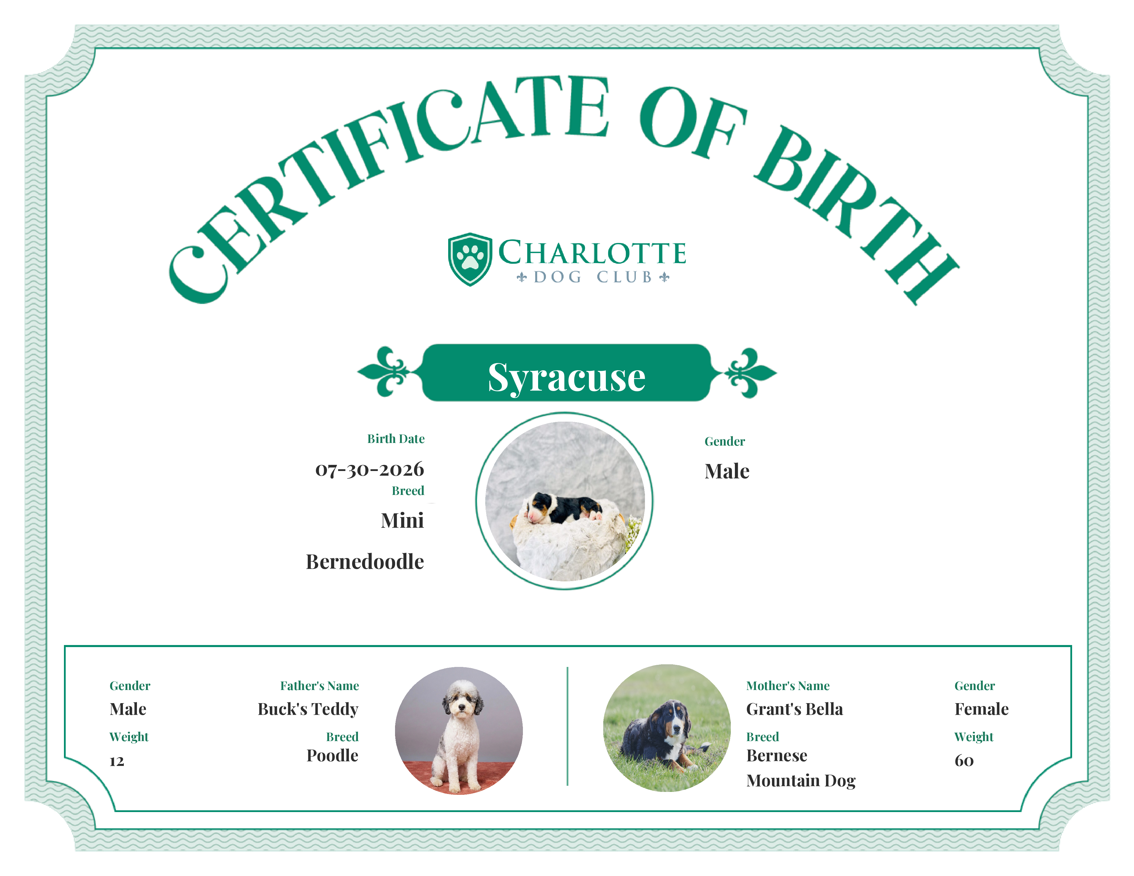 Syracuse's Birth Certificate