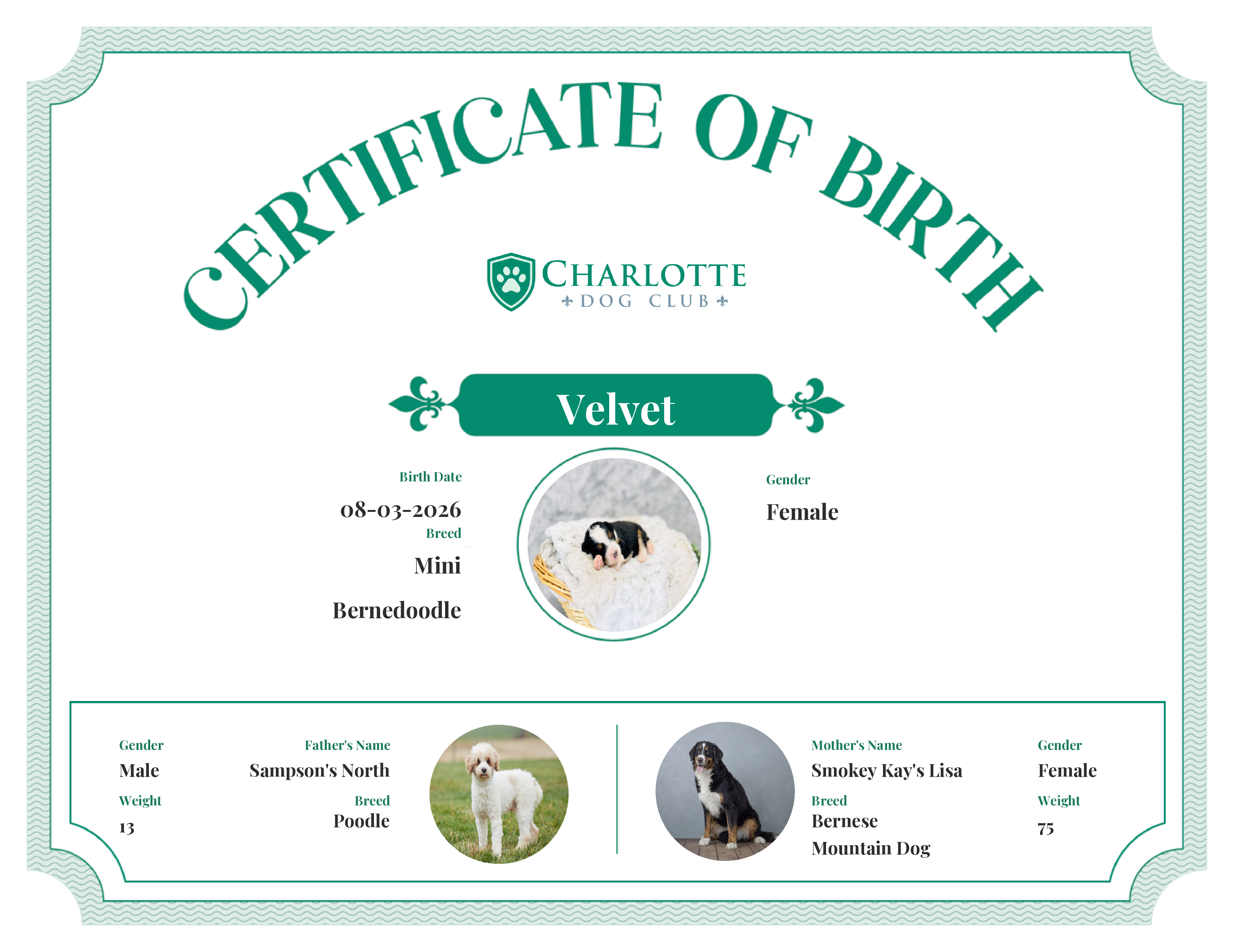 Velvet's Birth Certificate
