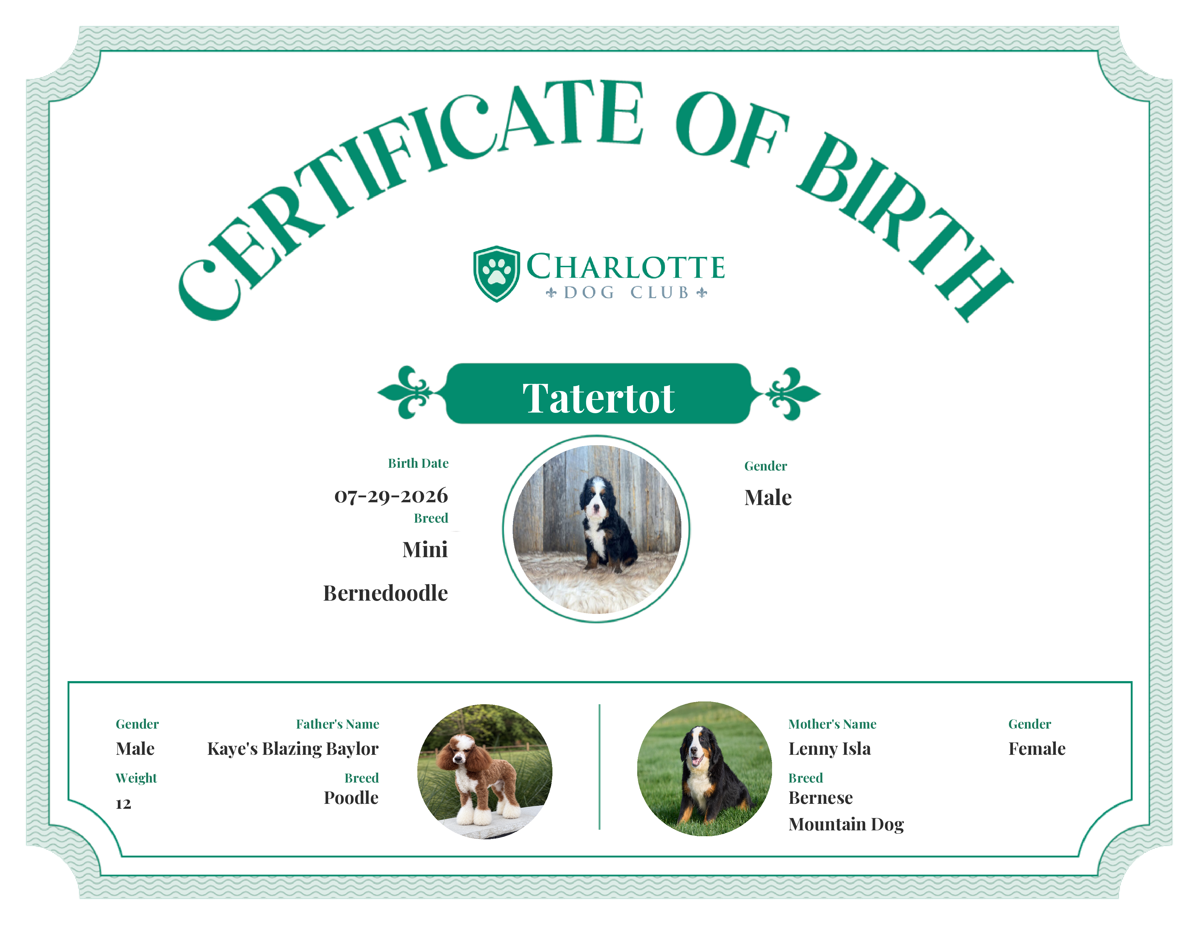 Tatertot's Birth Certificate