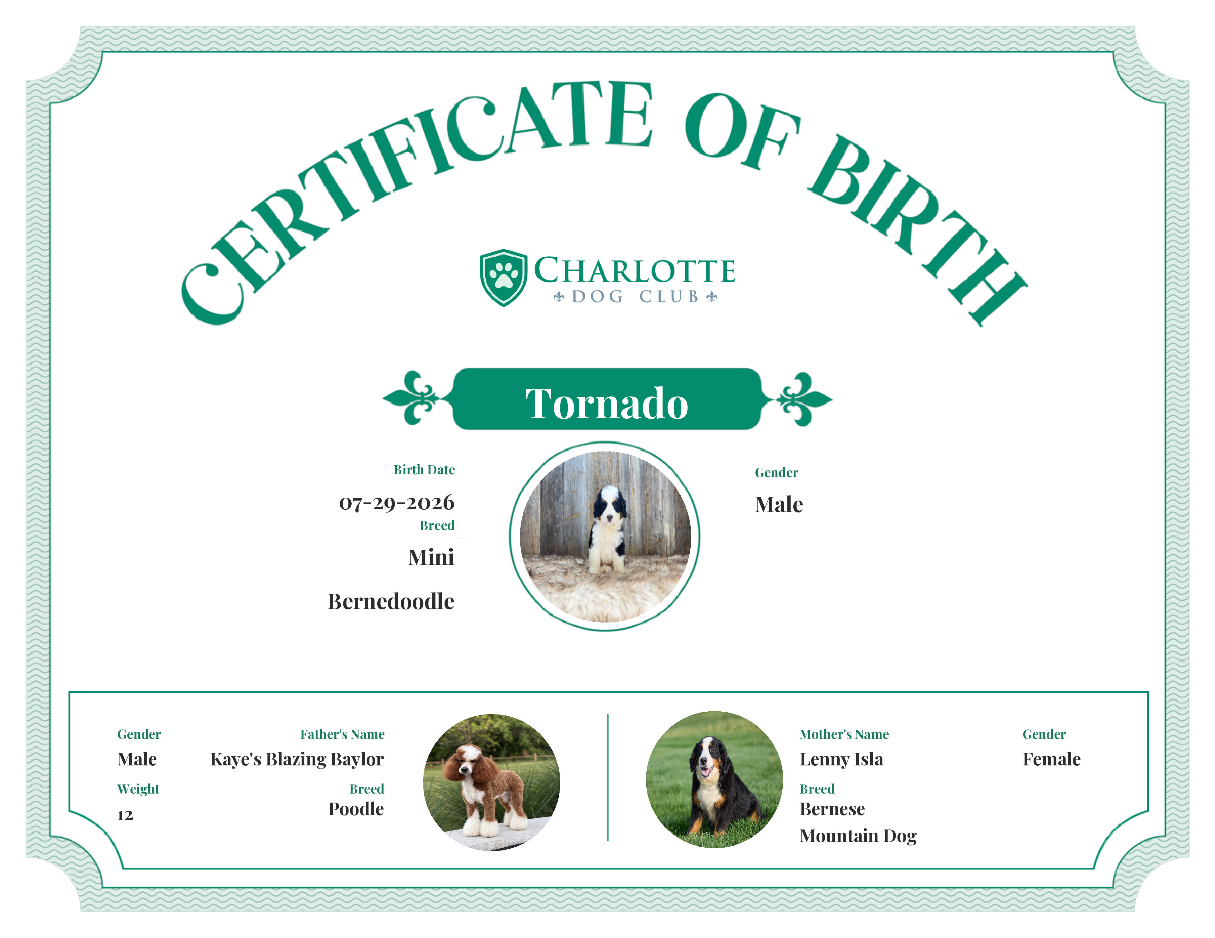 Tornado's Birth Certificate