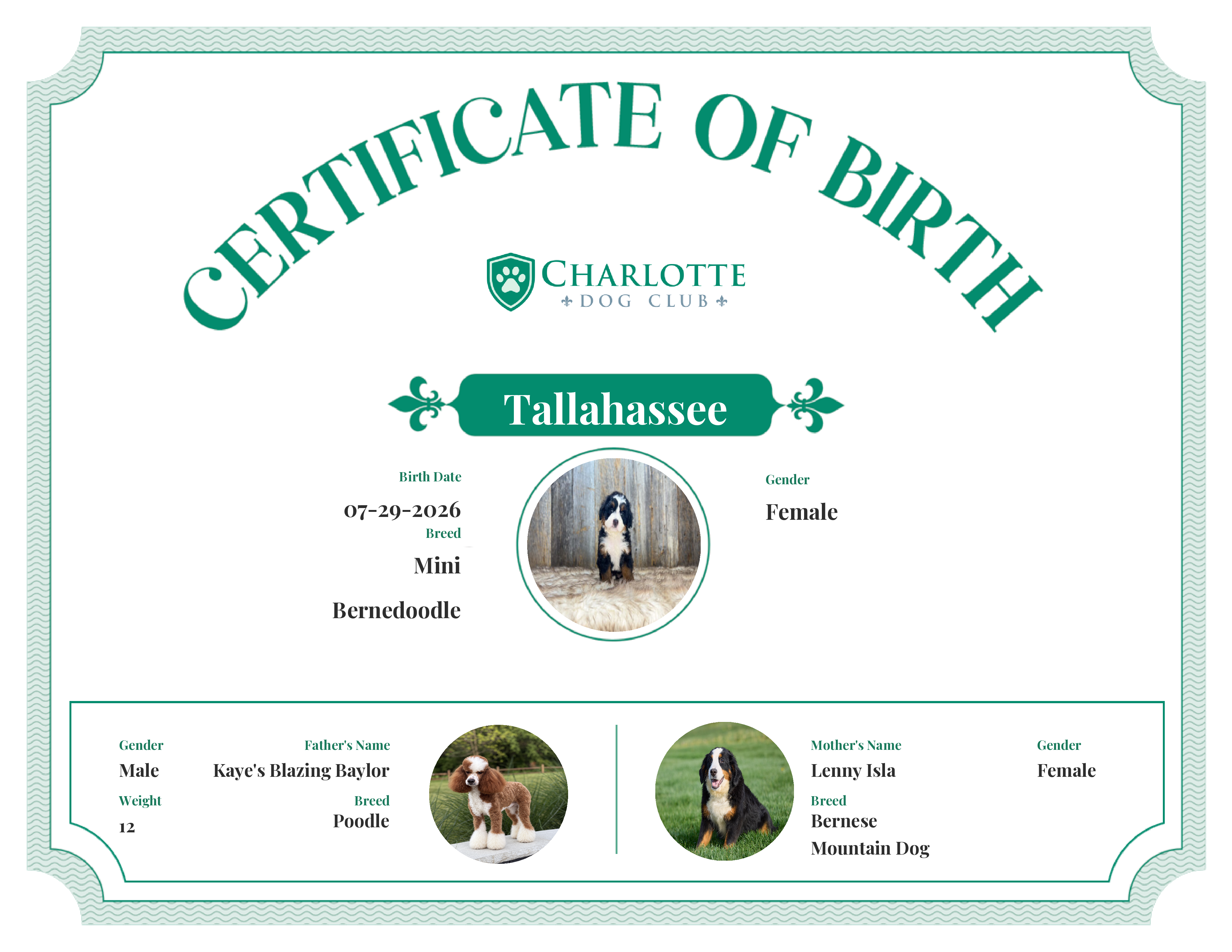 Tallahassee's Birth Certificate