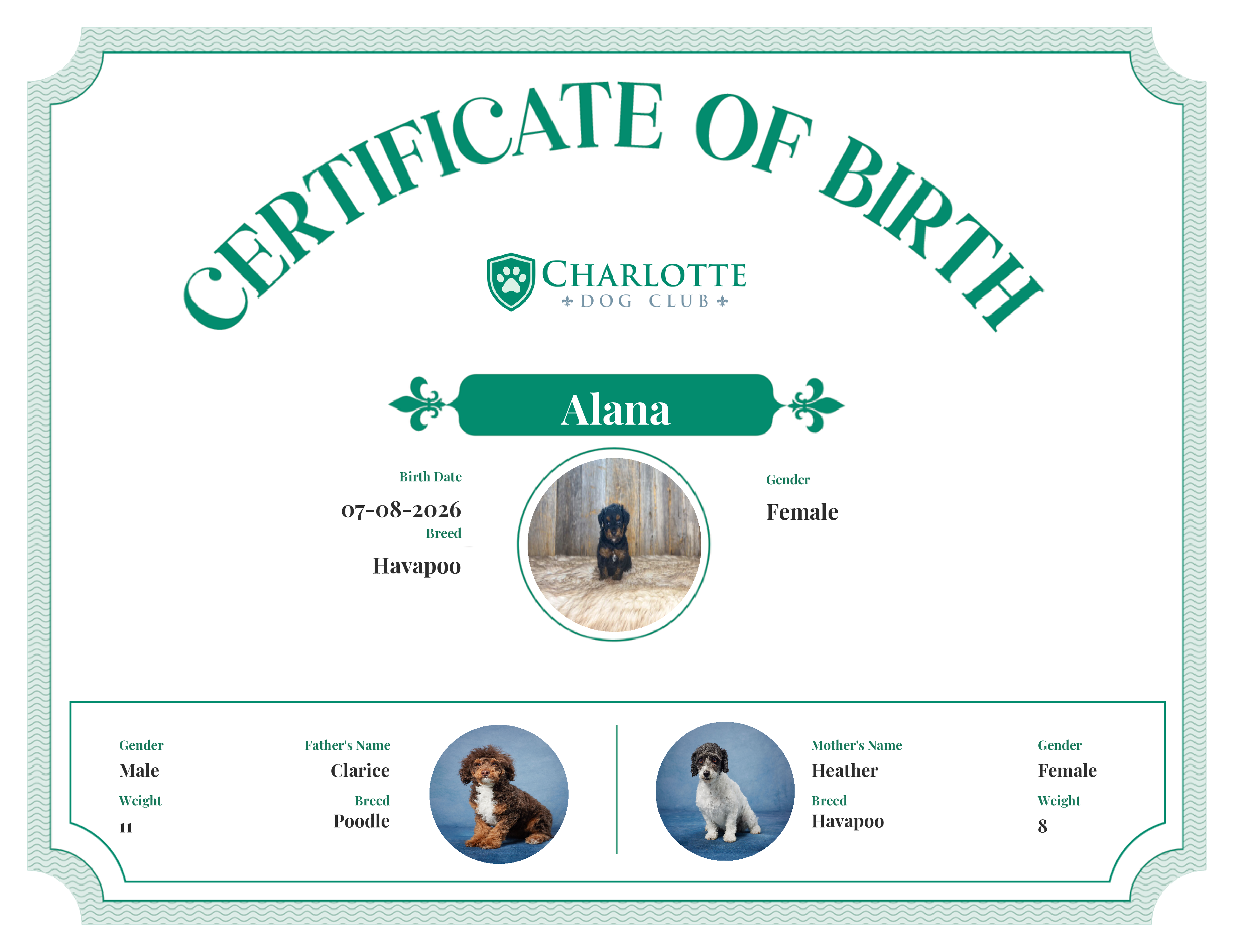 Alana's Birth Certificate