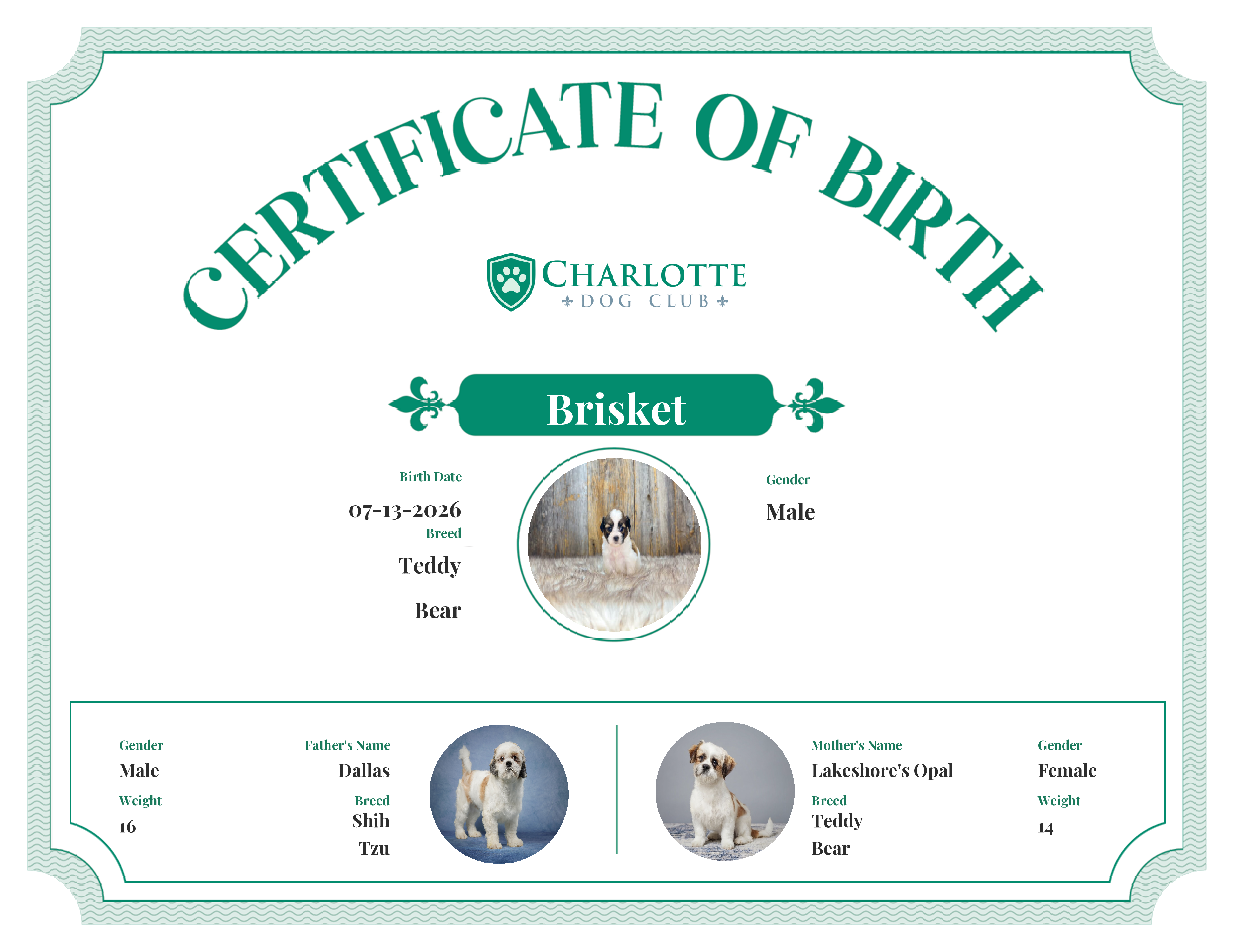Brisket's Birth Certificate