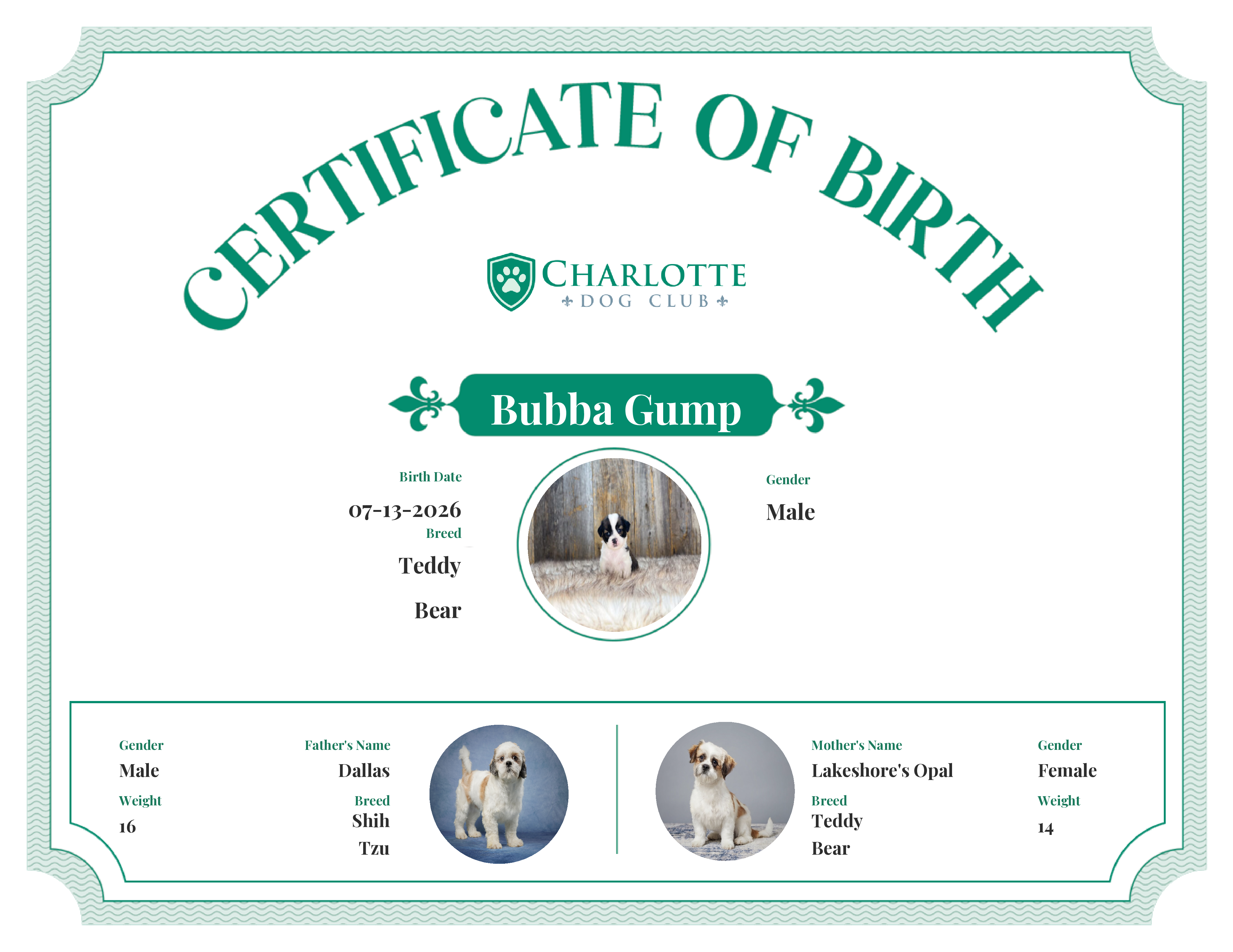 Bubba Gump's Birth Certificate